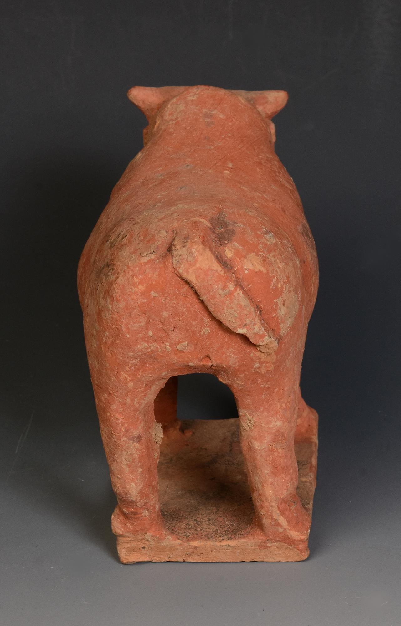 Tang Dynasty, Antique Chinese Pottery Standing Cow For Sale 2