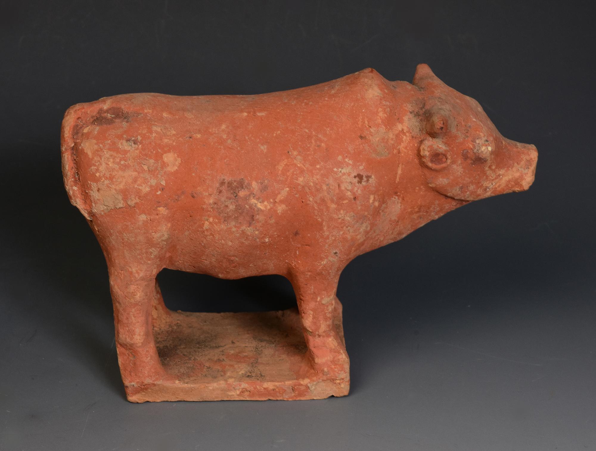Tang Dynasty, Antique Chinese Pottery Standing Cow For Sale 4