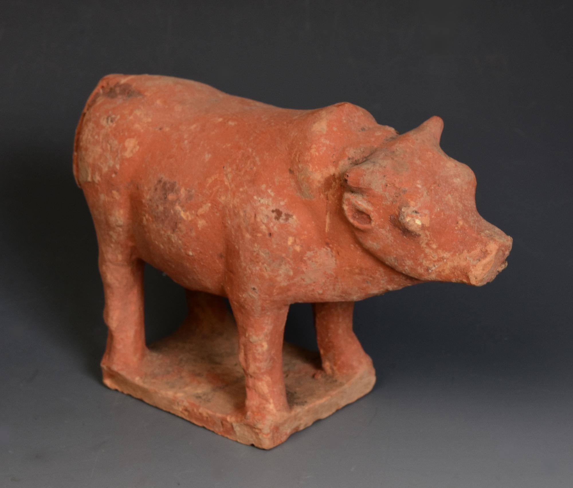 Tang Dynasty, Antique Chinese Pottery Standing Cow en vente 3
