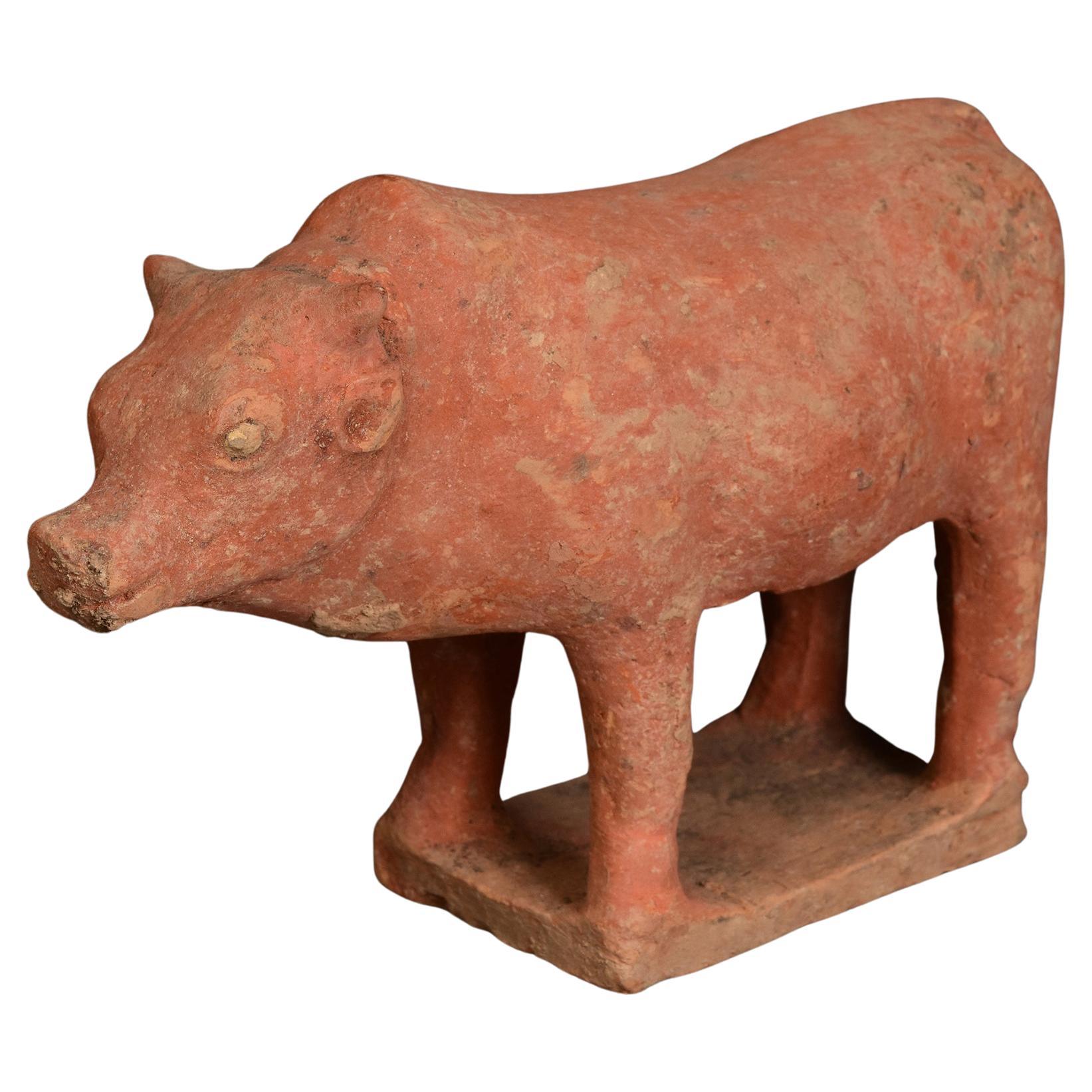 Tang Dynasty, Antique Chinese Pottery Standing Cow For Sale
