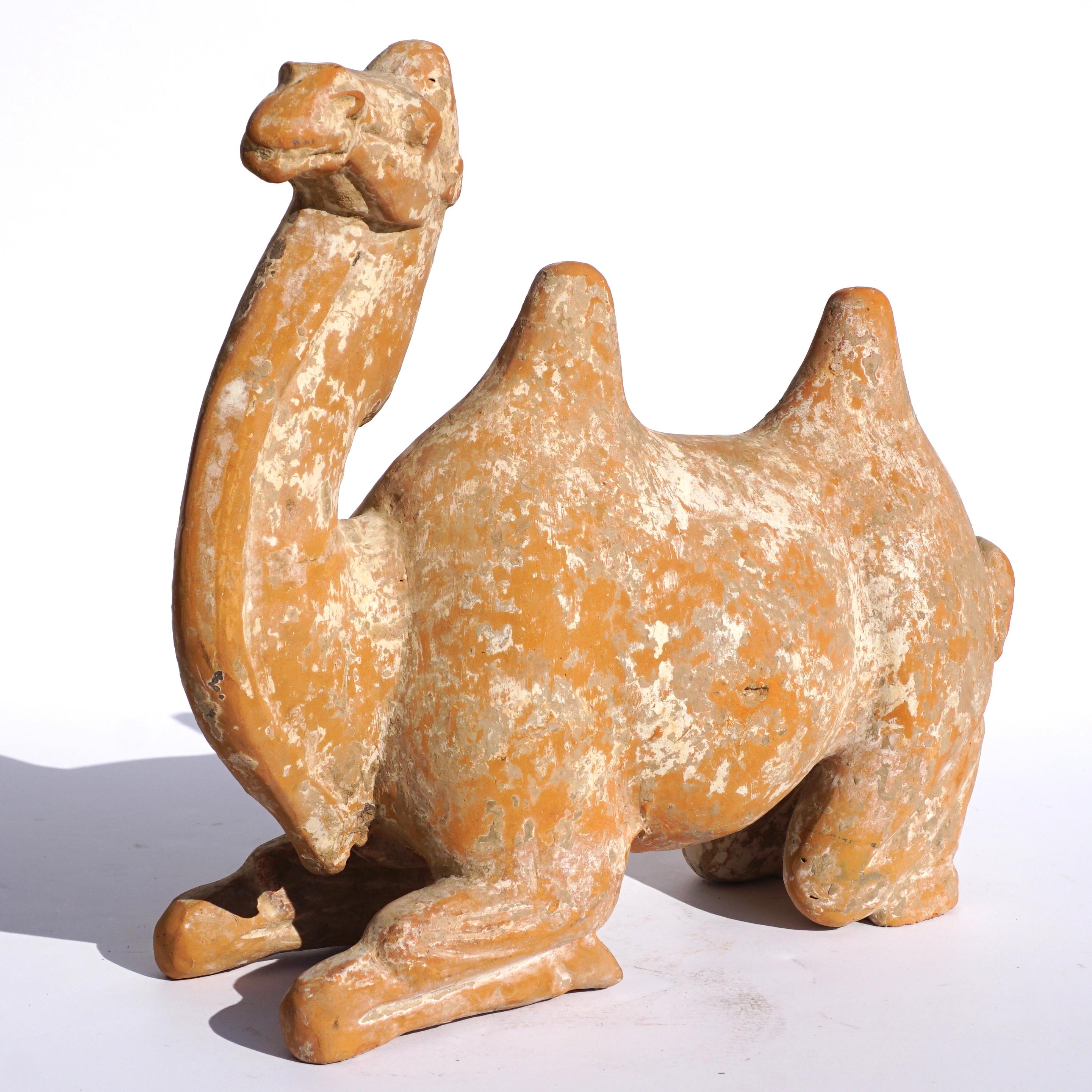 clay camel