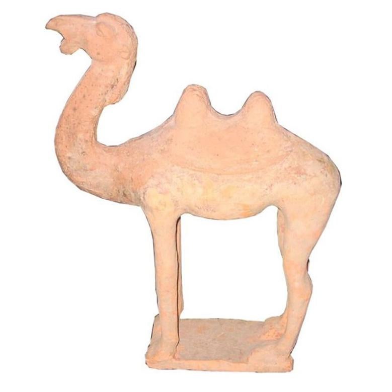 Tang Dynasty Camel For Sale