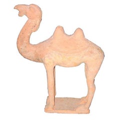 Tang Dynasty Camel