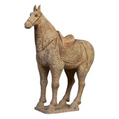Tang Dynasty, Chinese Pottery Standing Horse
