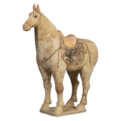 Tang Dynasty, Chinese Pottery Standing Horse
