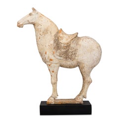 Tang Dynasty Earthenware Horse