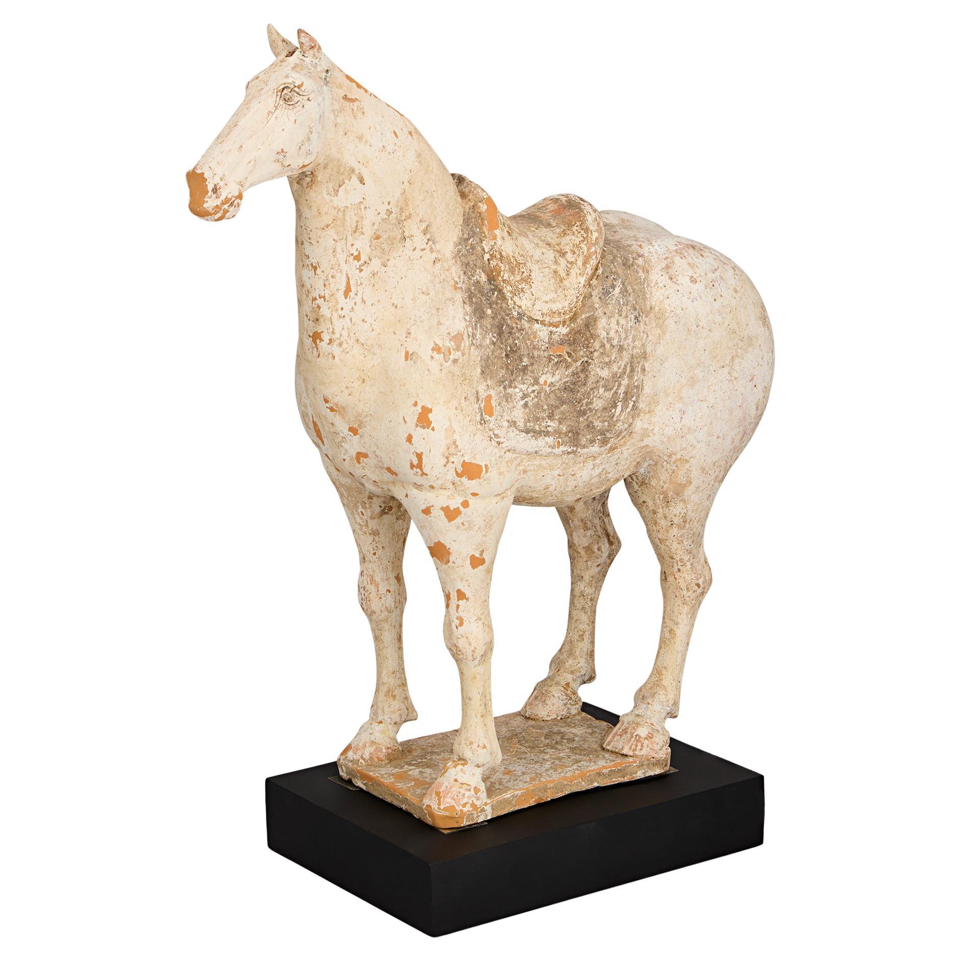 Tang Dynasty Earthenware Horse
