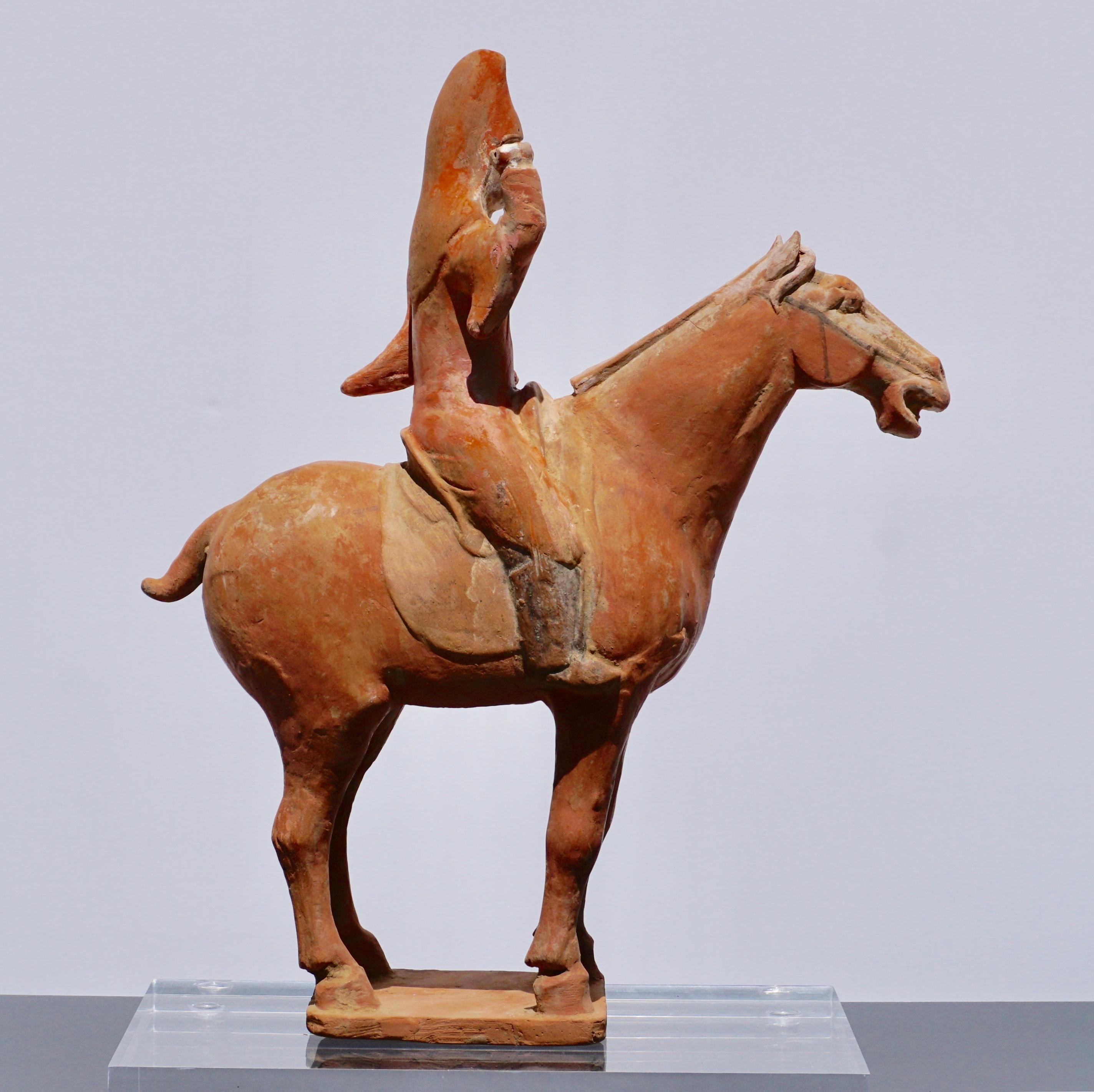 Tang Dynasty Horse and Polo Rider, '618 AD to 906 AD'  In Good Condition In Dallas, TX