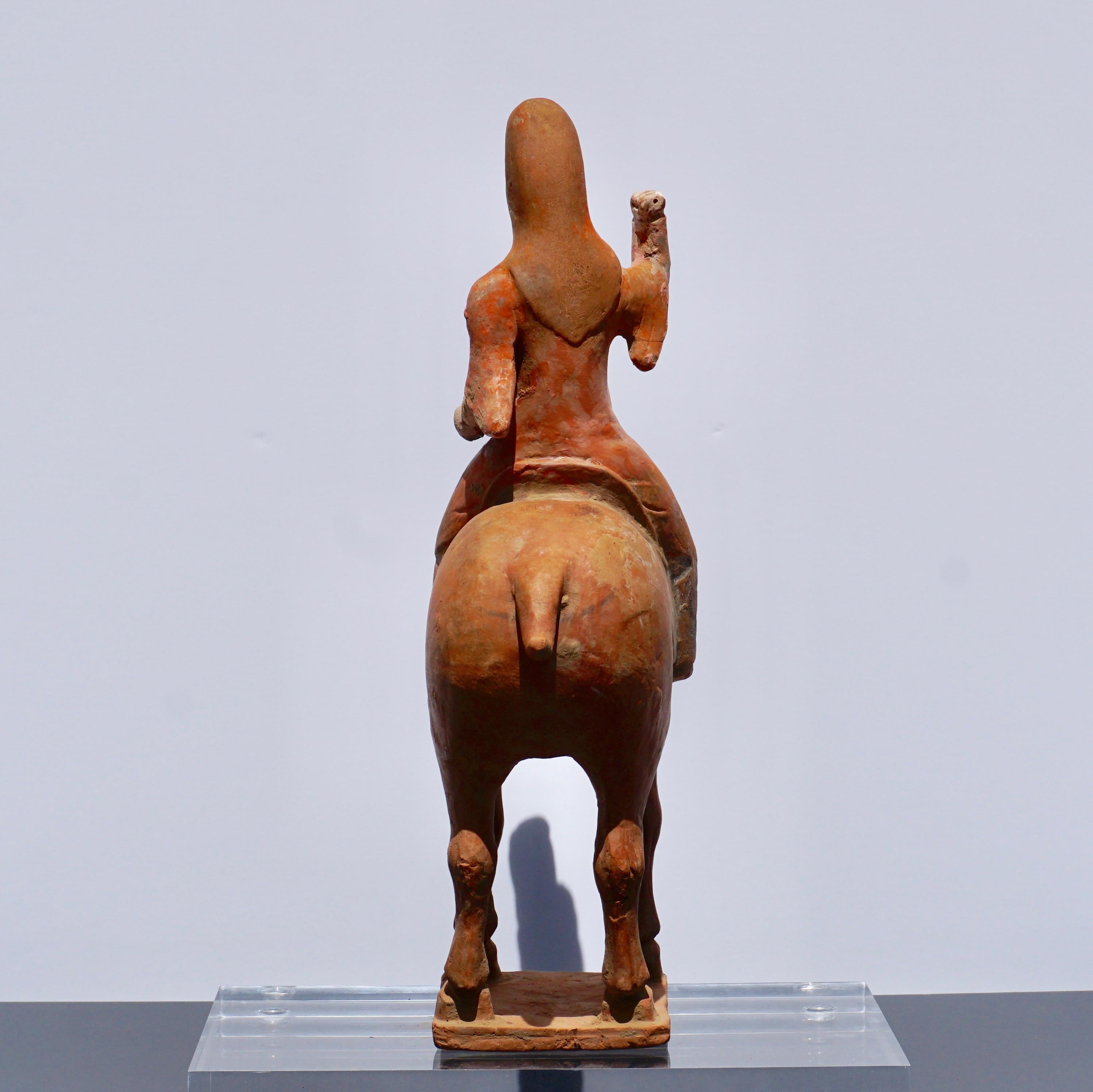 Terracotta Tang Dynasty Horse and Polo Rider, '618 AD to 906 AD' 