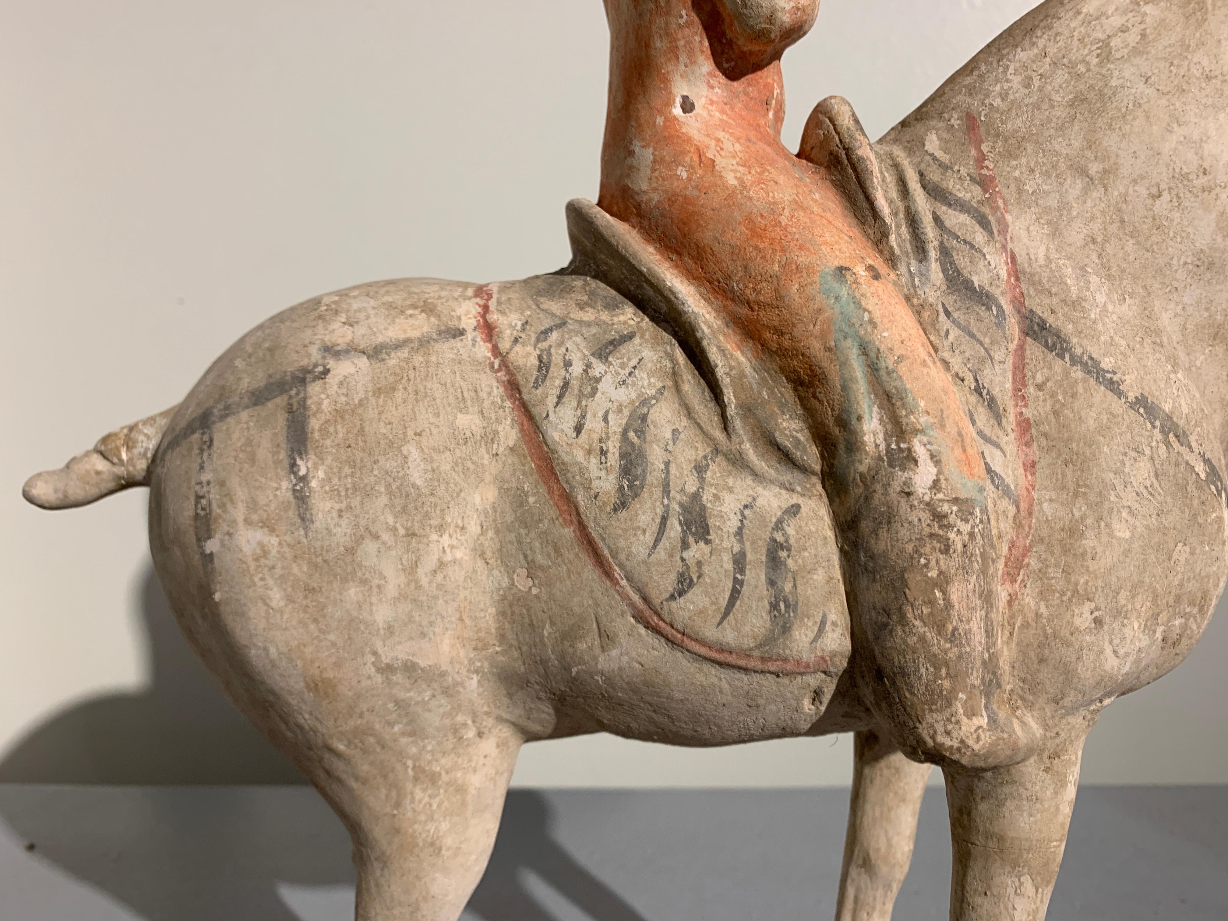 Tang Dynasty Horse and Rider, Painted Pottery, circa 9th Century, China 3
