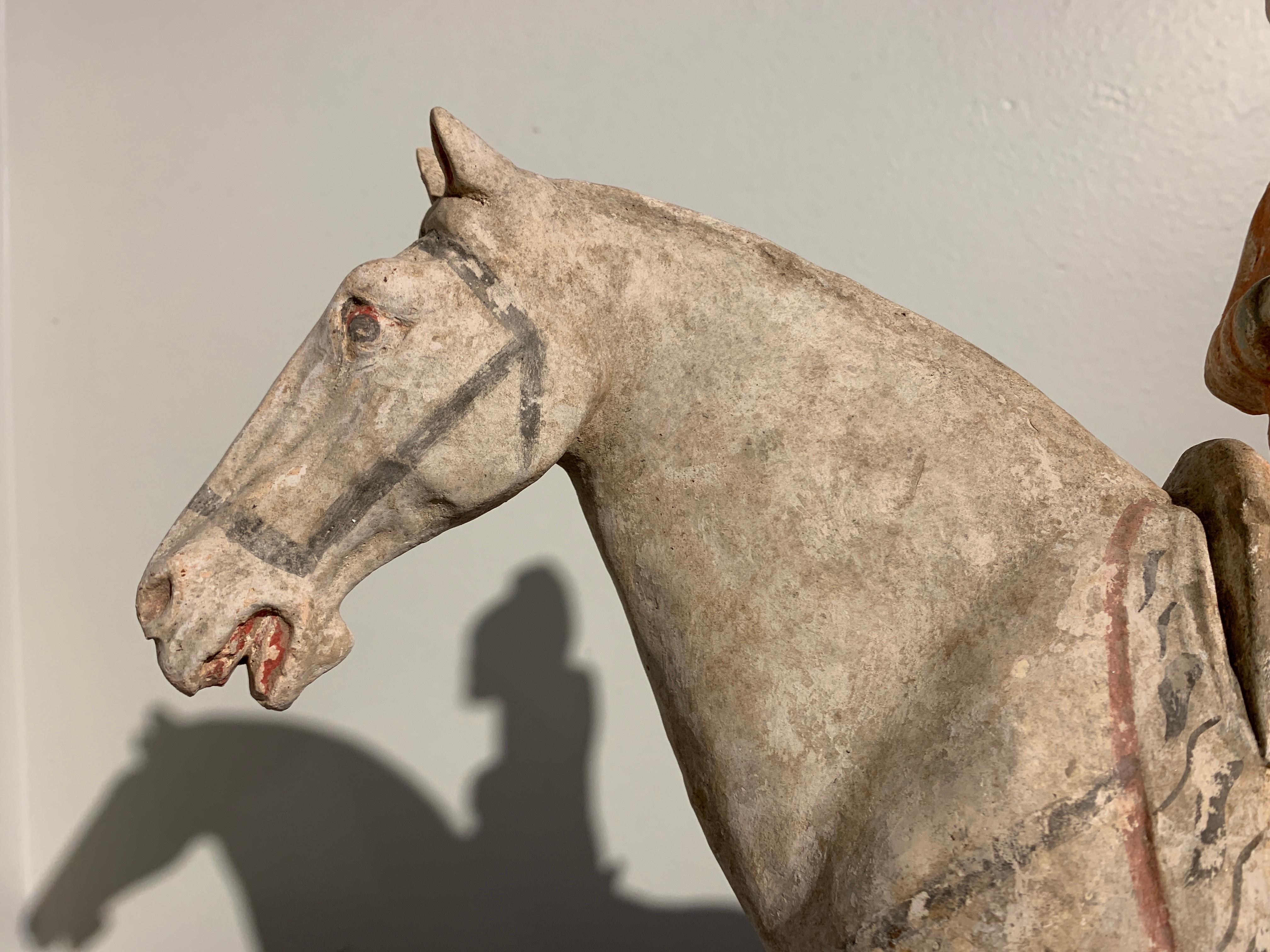 Hand-Painted Tang Dynasty Horse and Rider, Painted Pottery, circa 9th Century, China