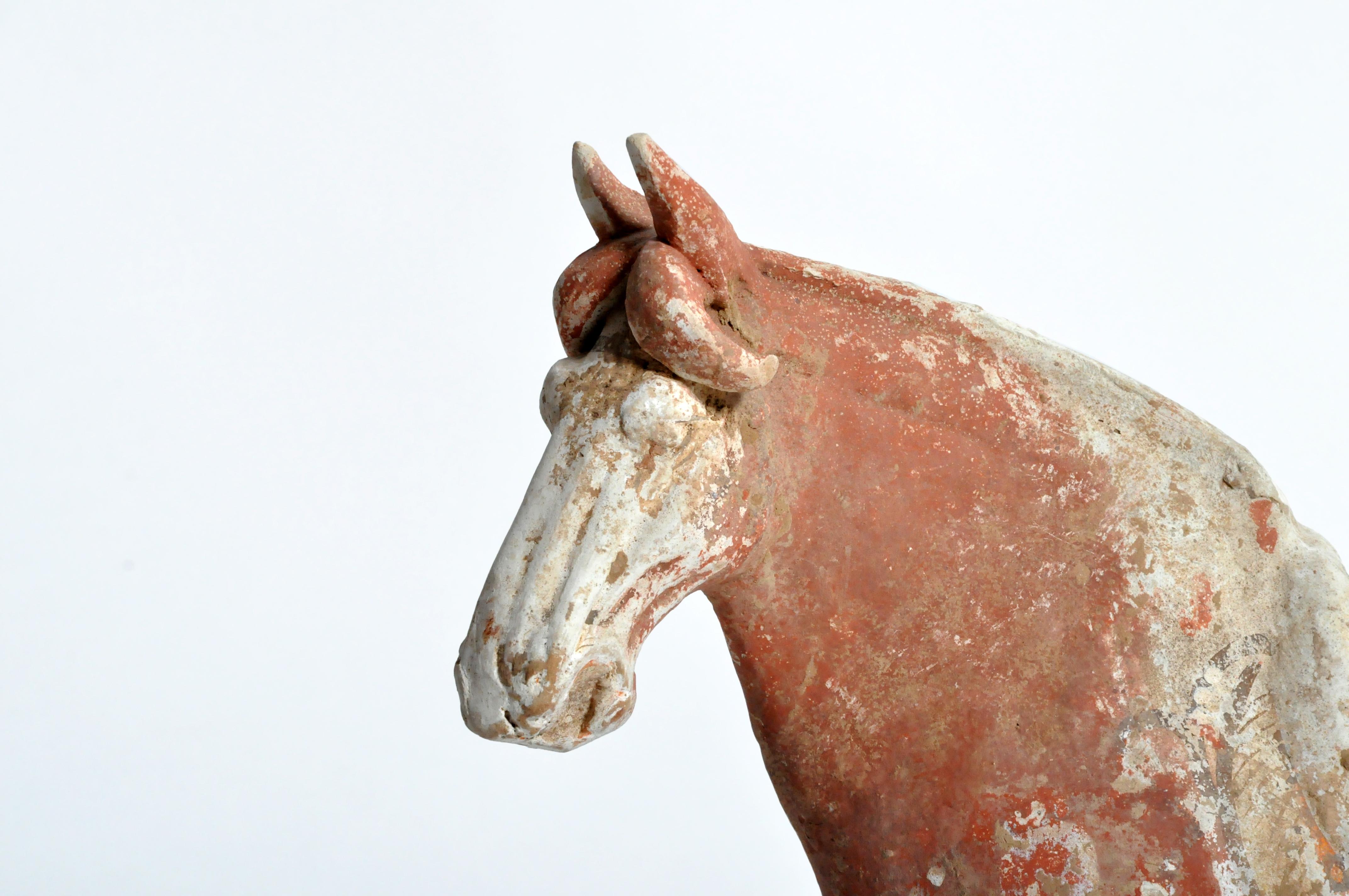 Tang Dynasty Horse 3