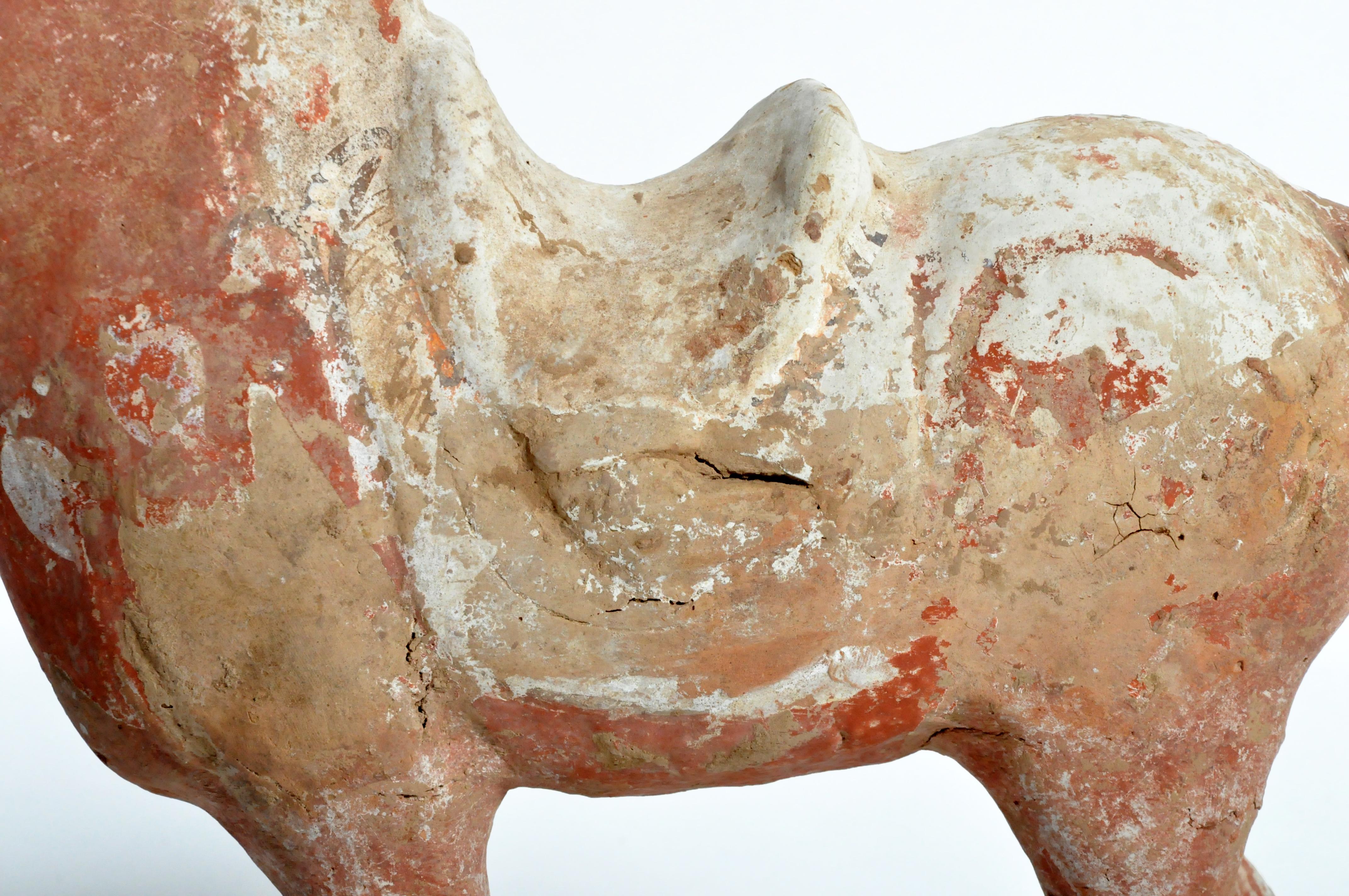 Tang Dynasty Horse 4