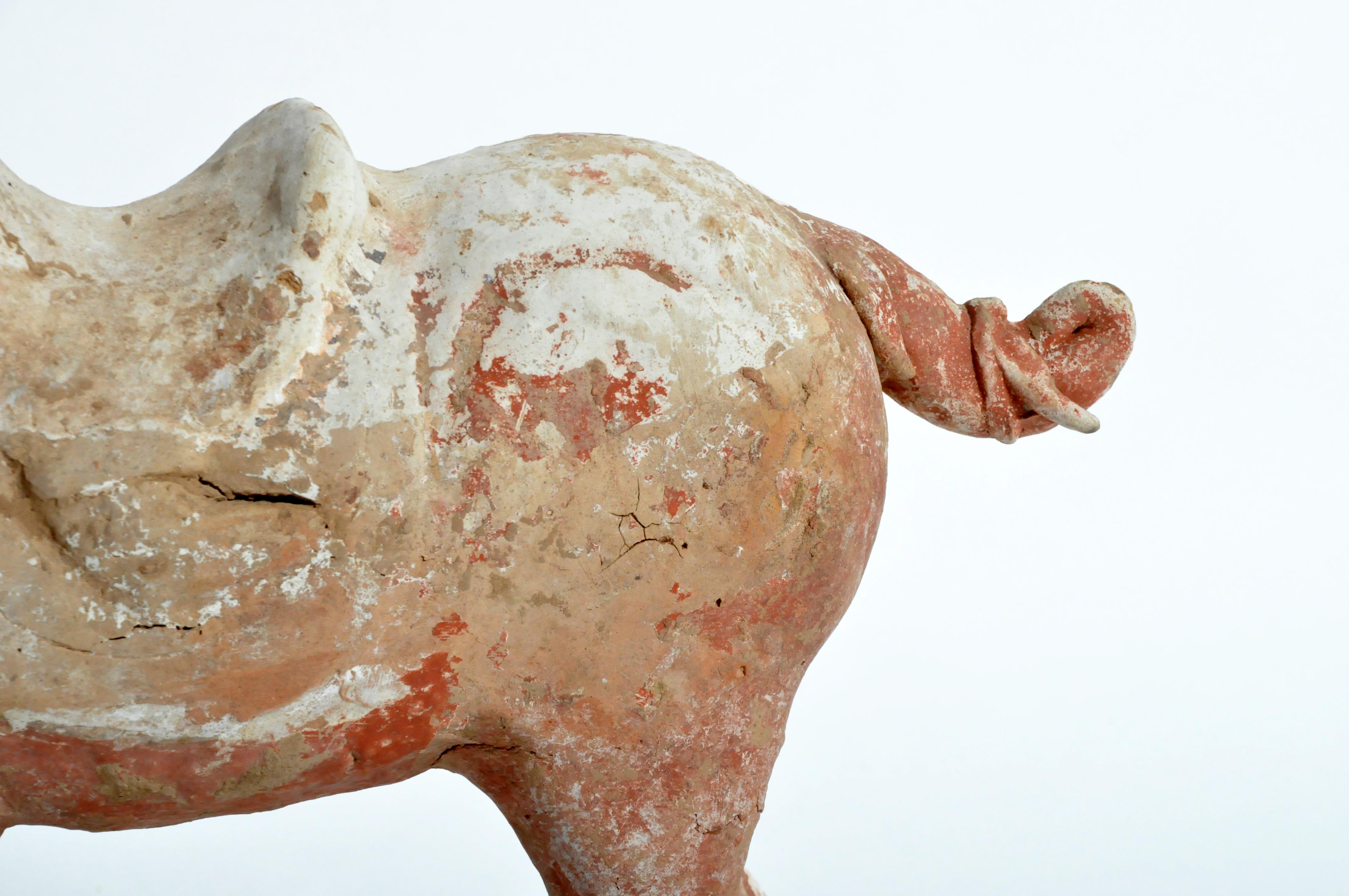 Tang Dynasty Horse 5