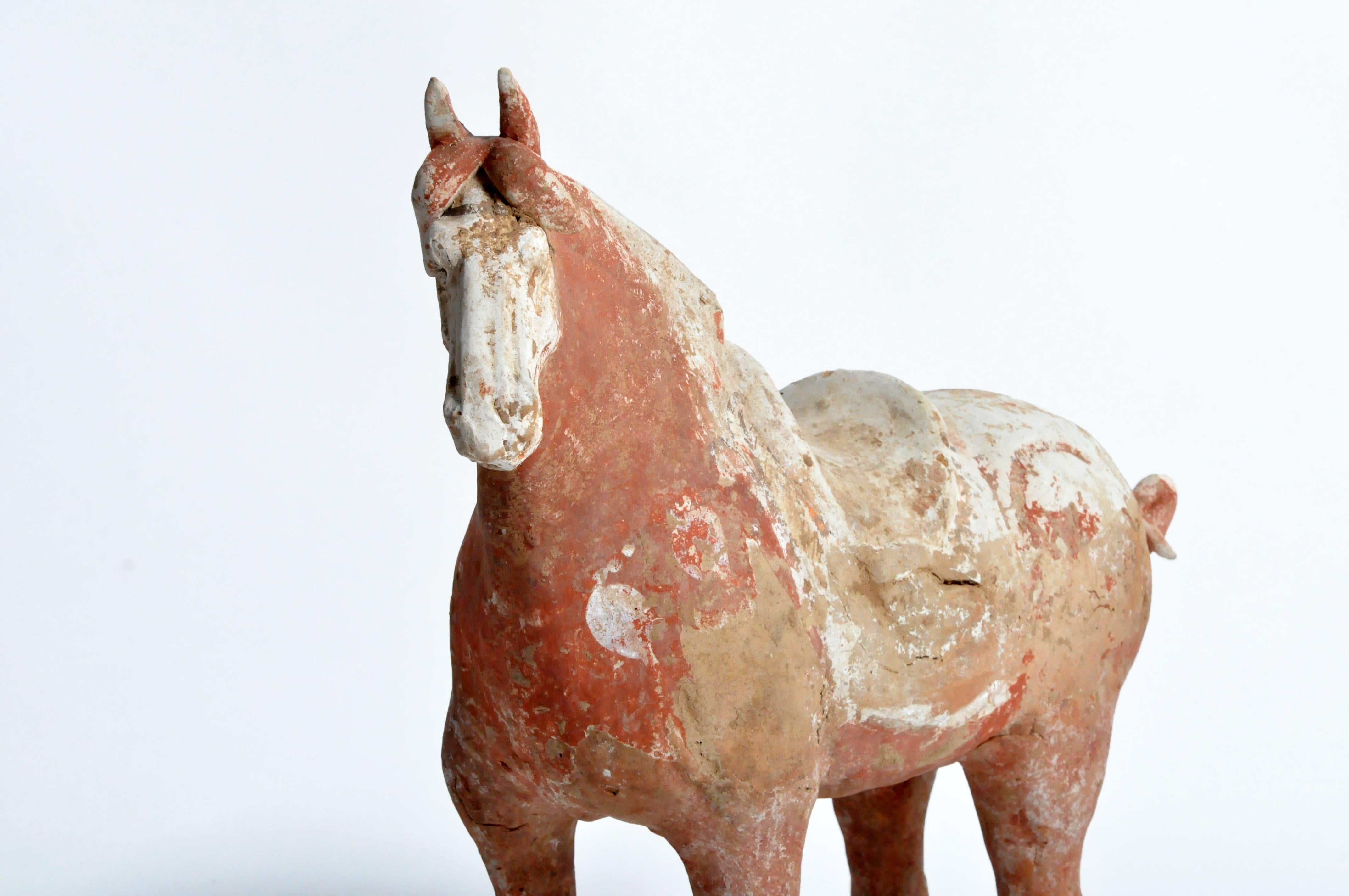 Tang Dynasty Horse 9