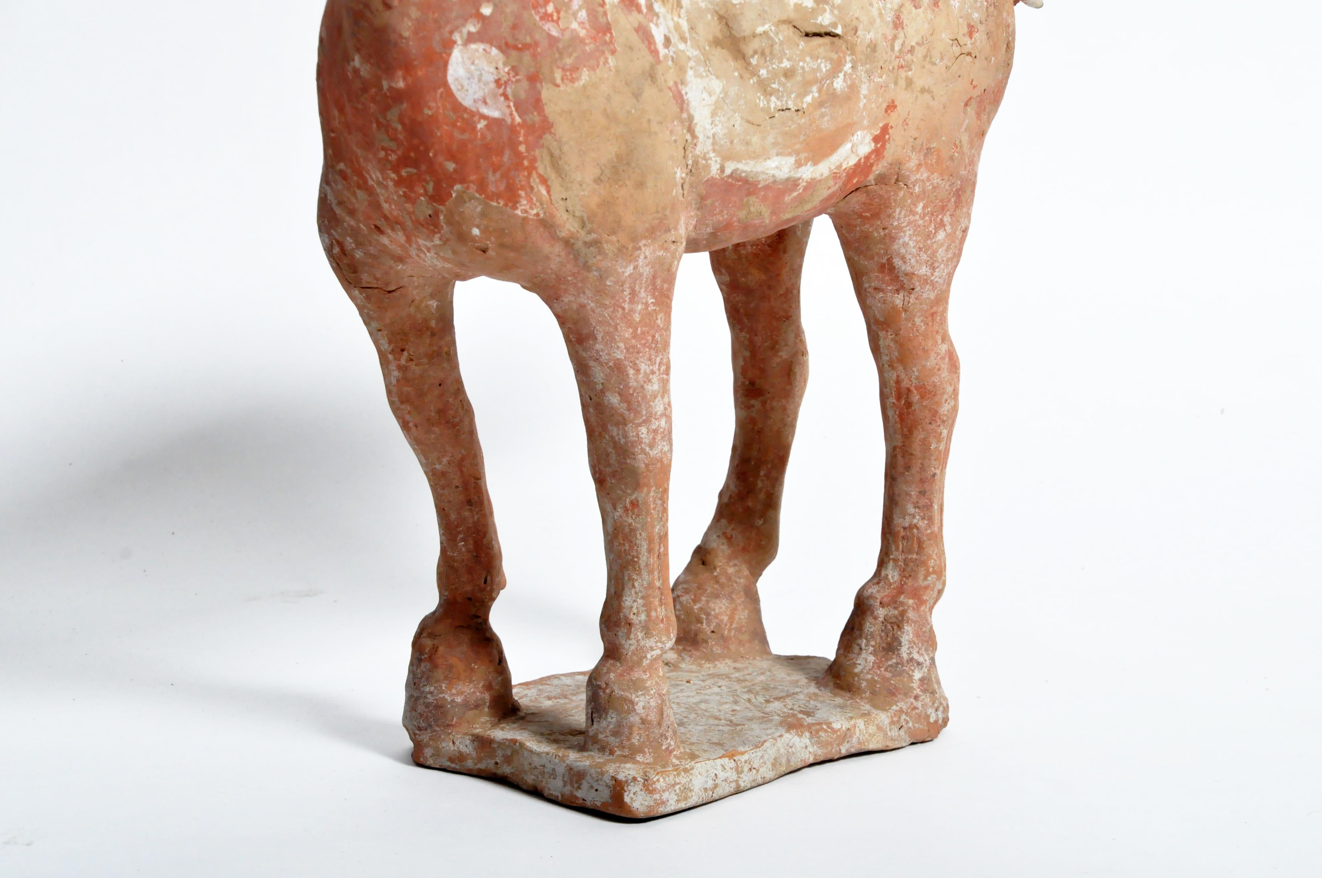 Tang Dynasty Horse 10