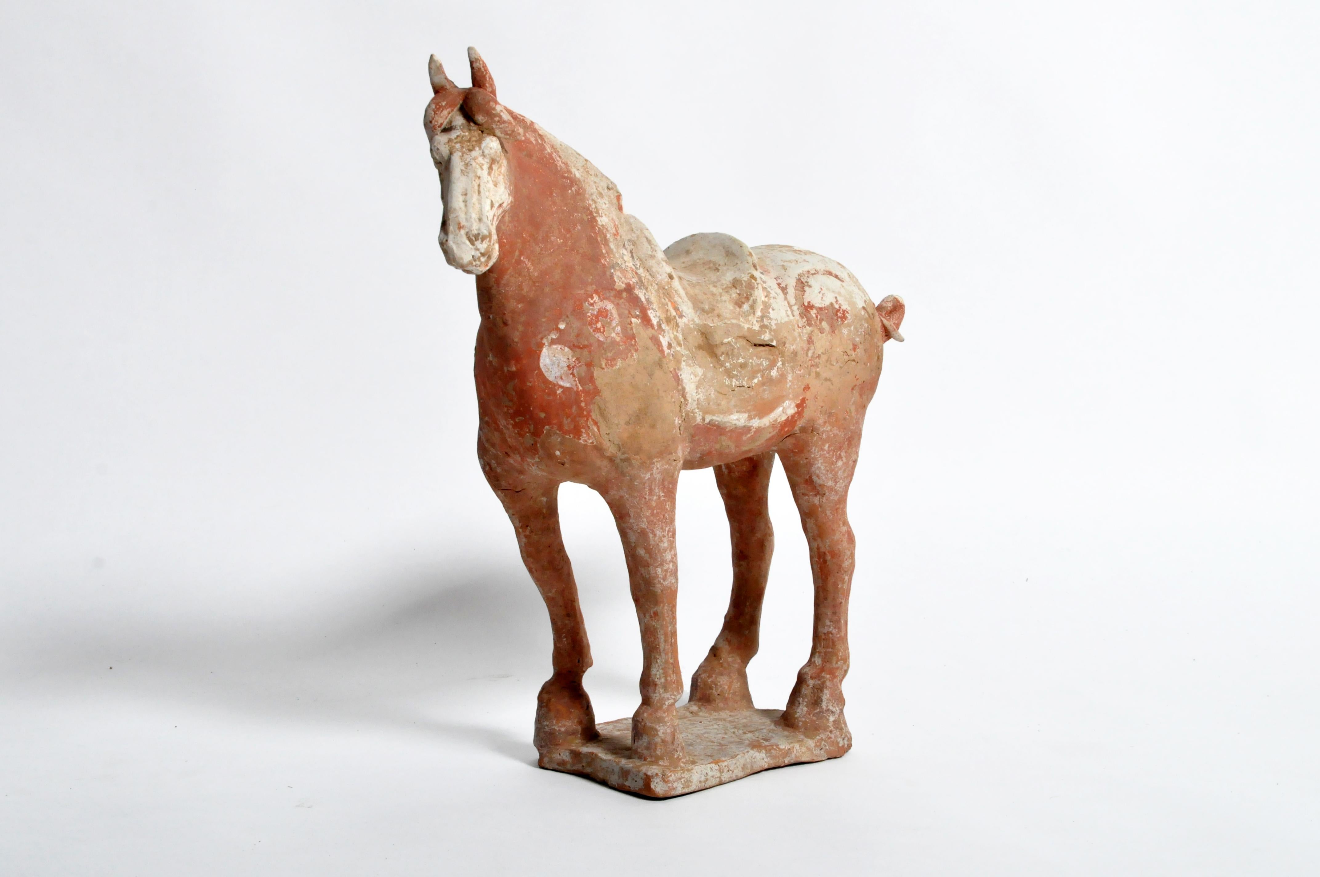 Tang Dynasty (618-906 A.D.). Horses were powerful symbols of wealth and social position and were often buried in effigy. The horse also had symbolic connotations, for example, fidelity and virtue. This horse was found in Shaanxi province, on the