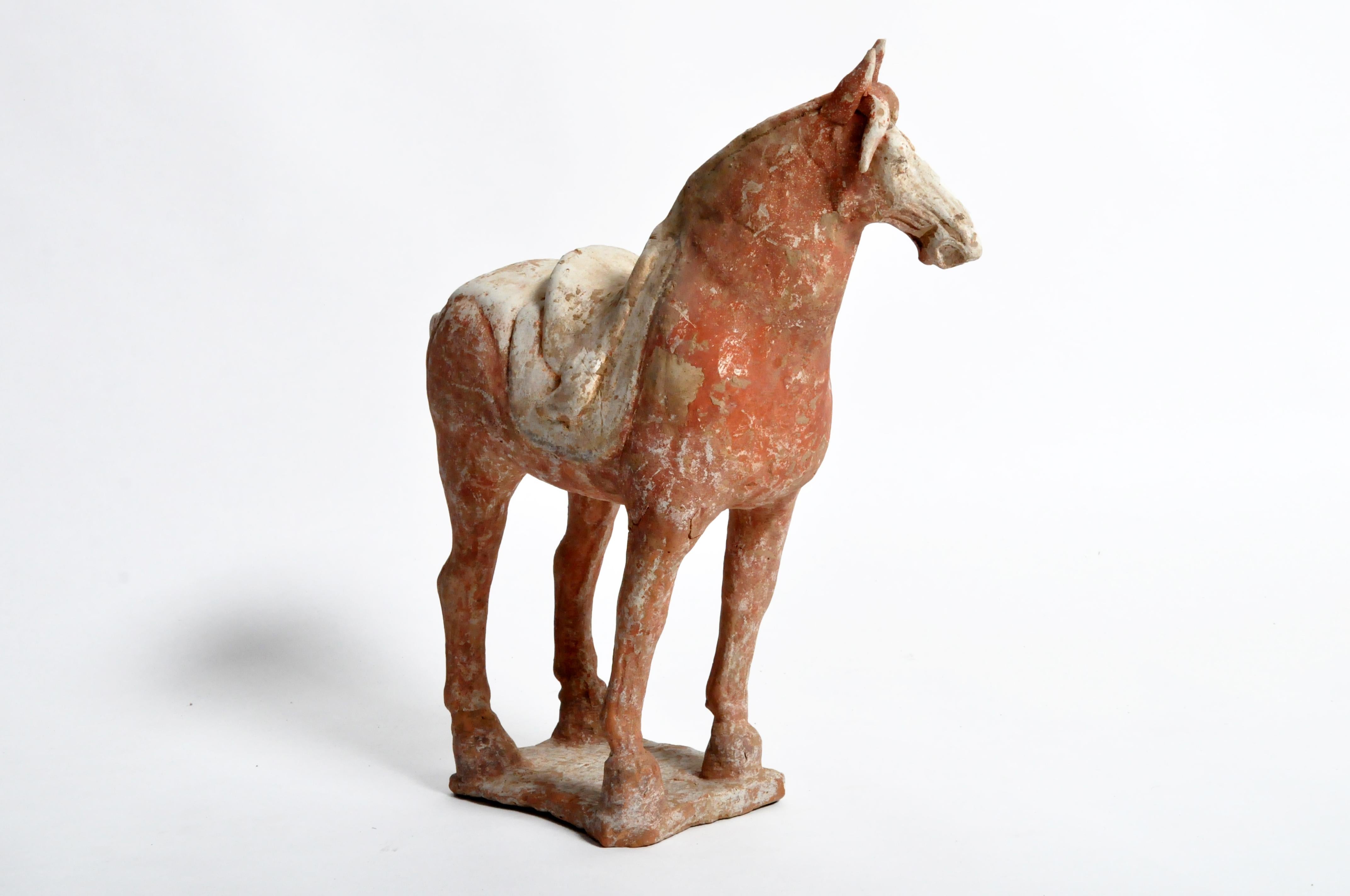 Chinese Tang Dynasty Horse