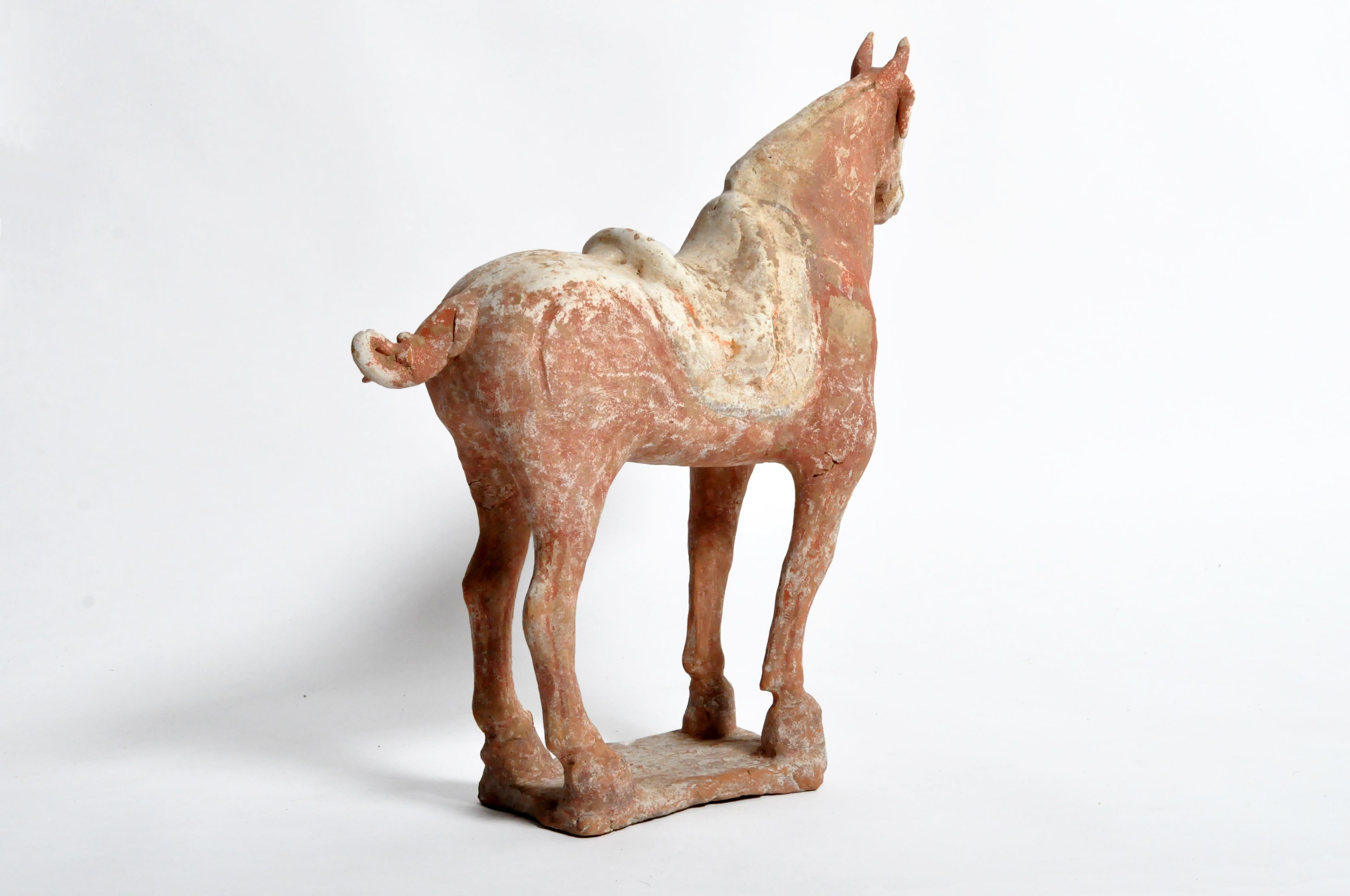 18th Century and Earlier Tang Dynasty Horse