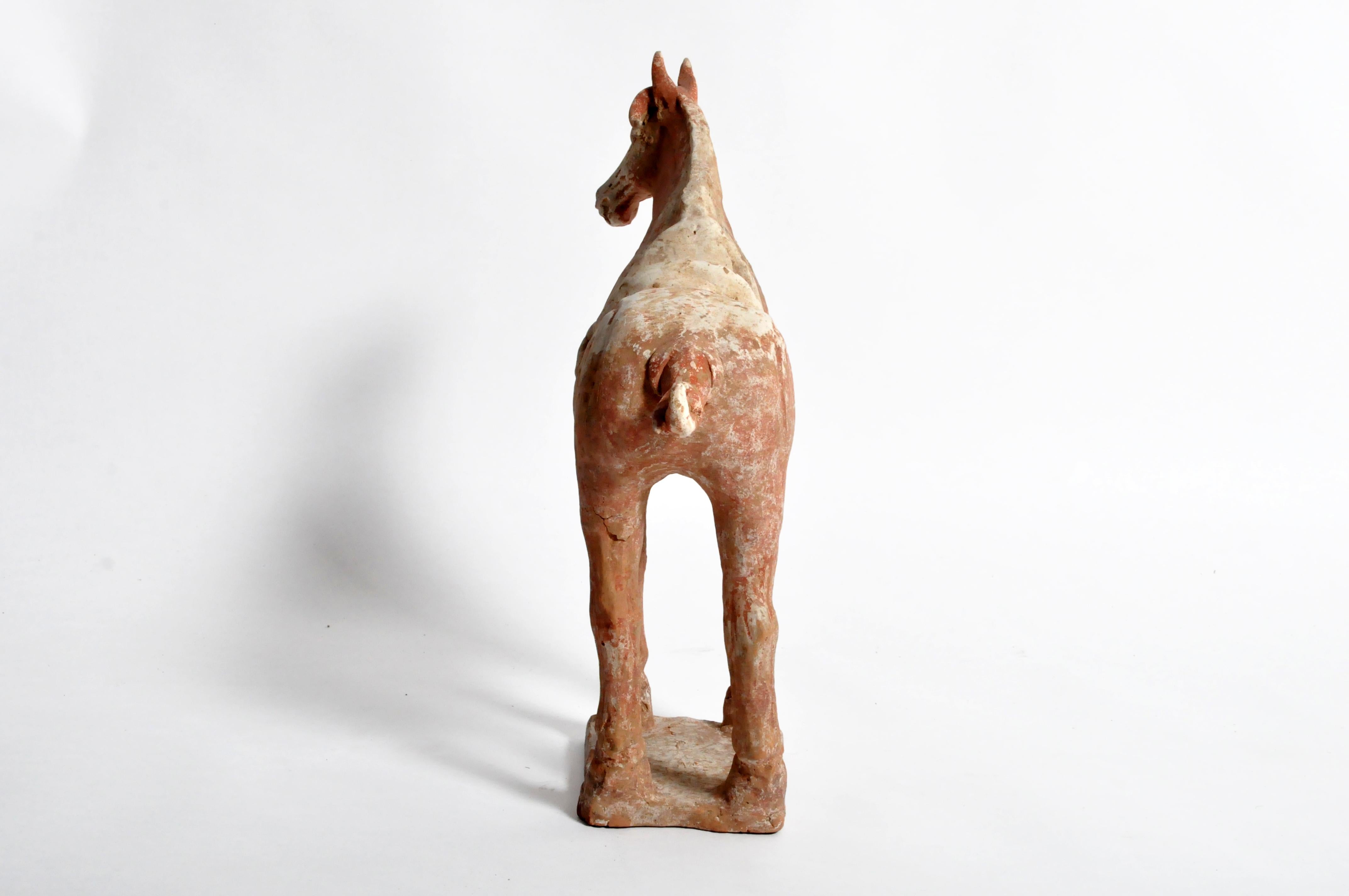 Clay Tang Dynasty Horse