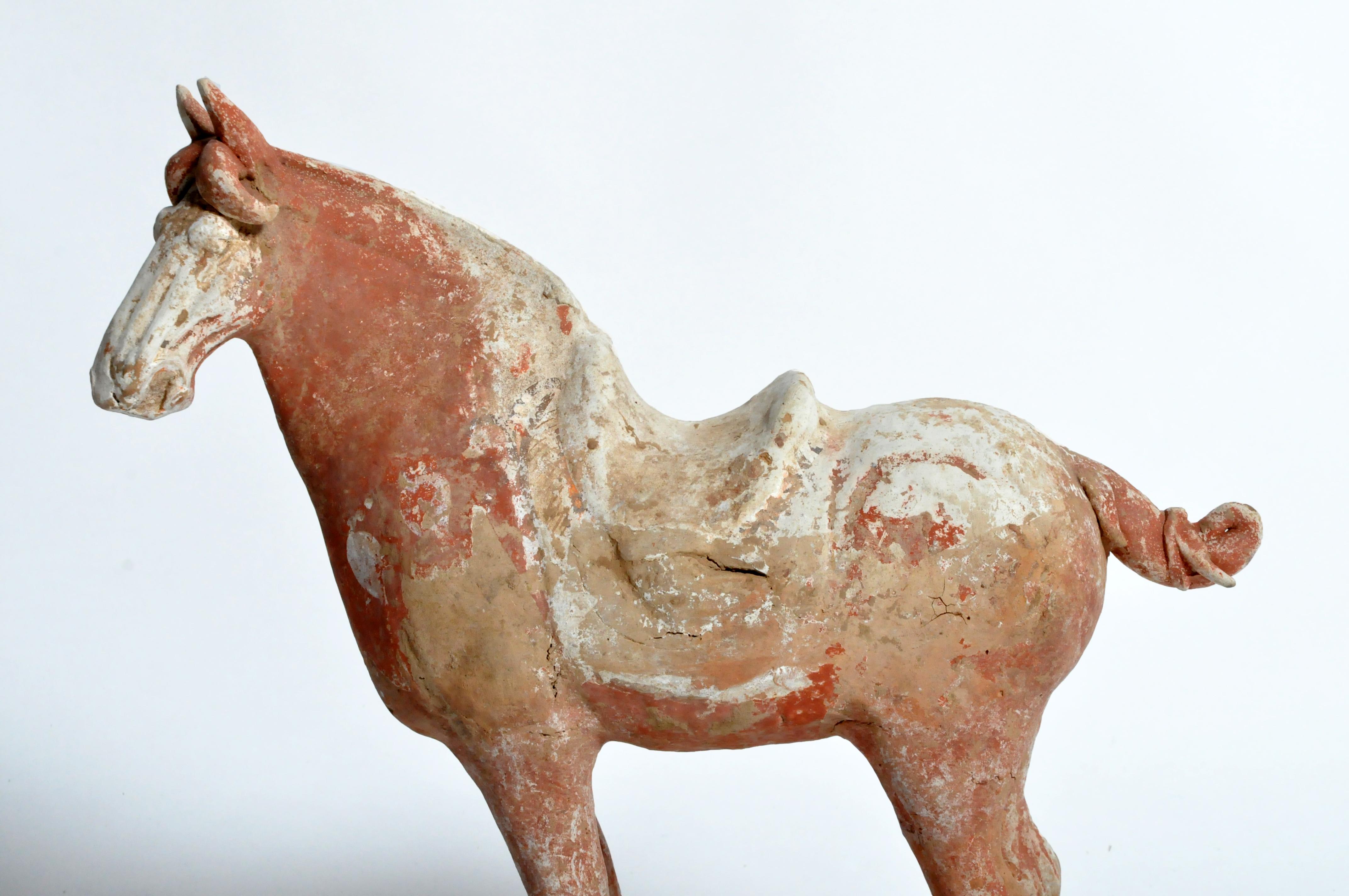 Tang Dynasty Horse 1