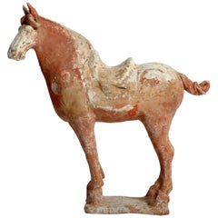 Antique Tang Dynasty Horse