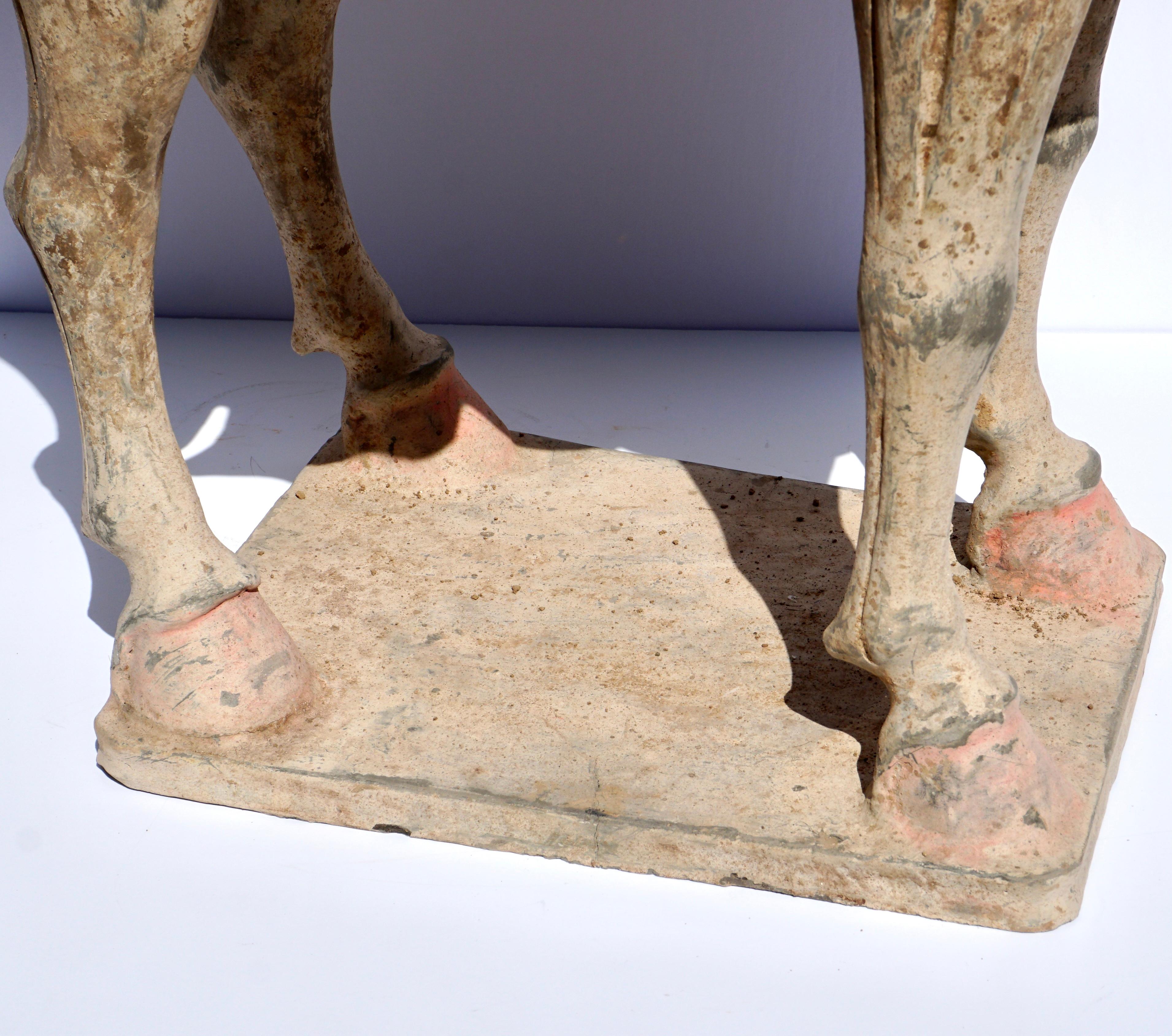 Tang Dynasty Large And Important Pottery Horse TL Tested For Sale 6