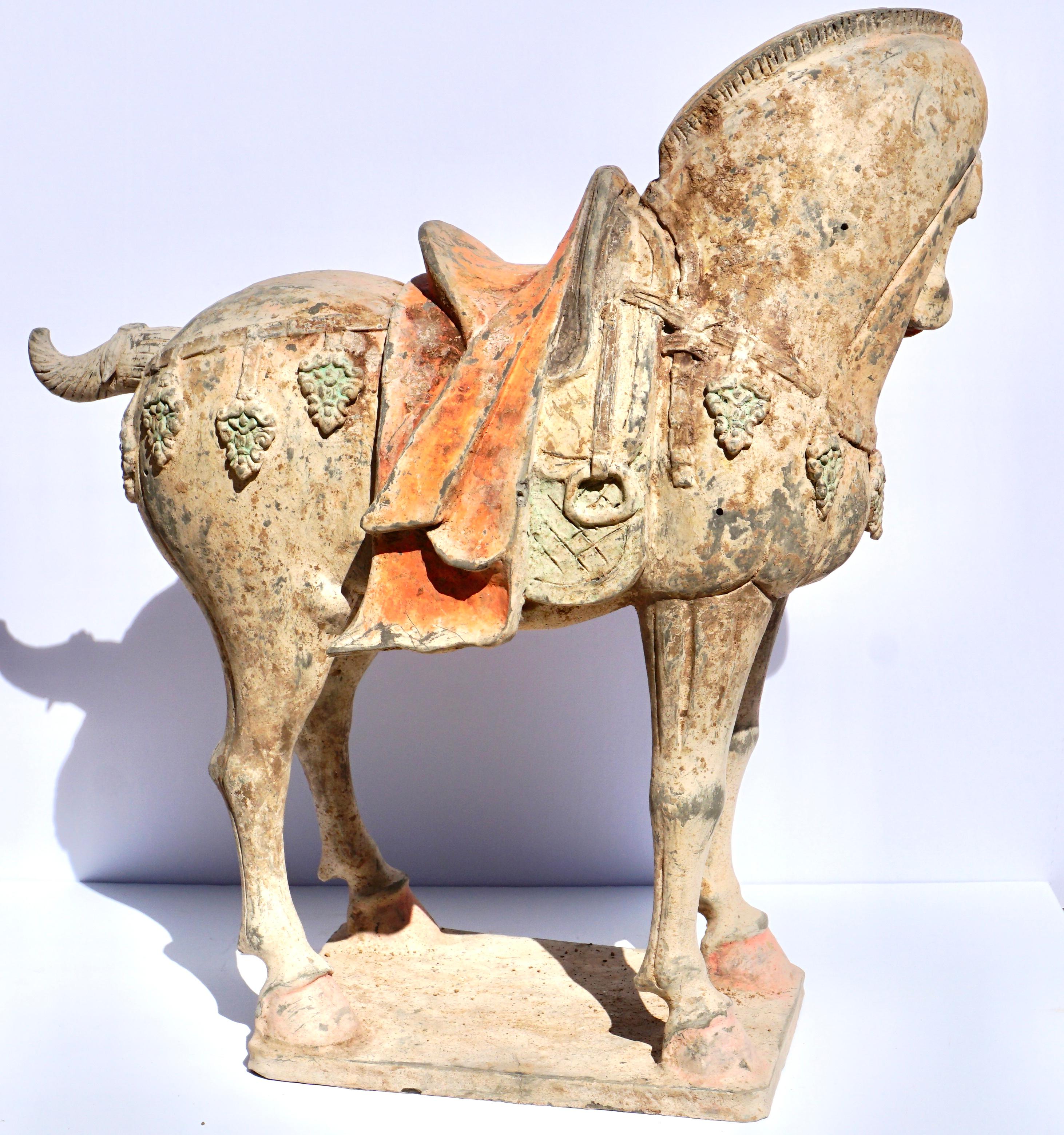 Tang Dynasty Large And Important Pottery Horse TL Tested For Sale 3