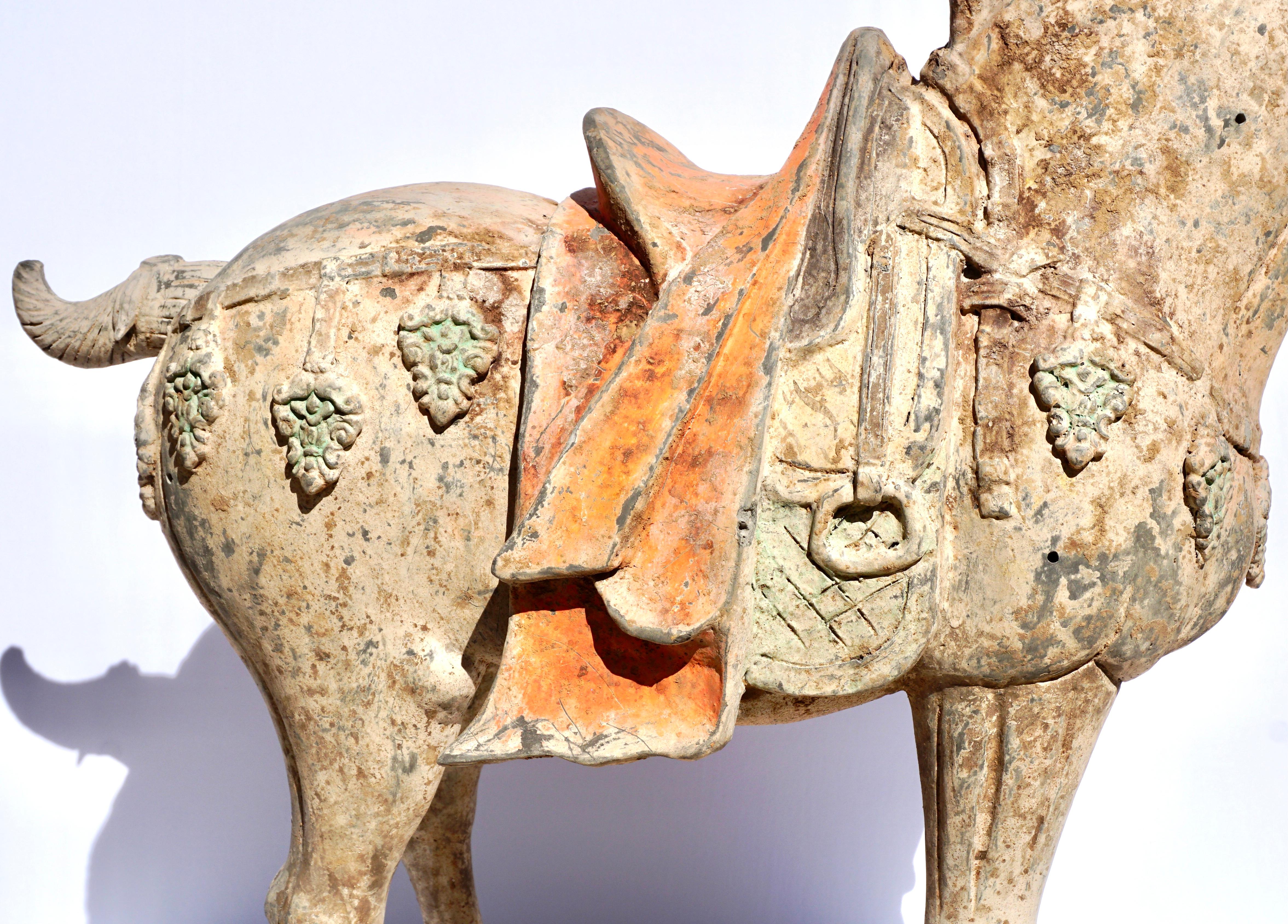 Cheval en poterie de grande taille et important de la Dynasty TL testé en vente 1