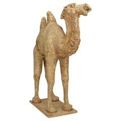 Cammello in ceramica della Tang Dynasty