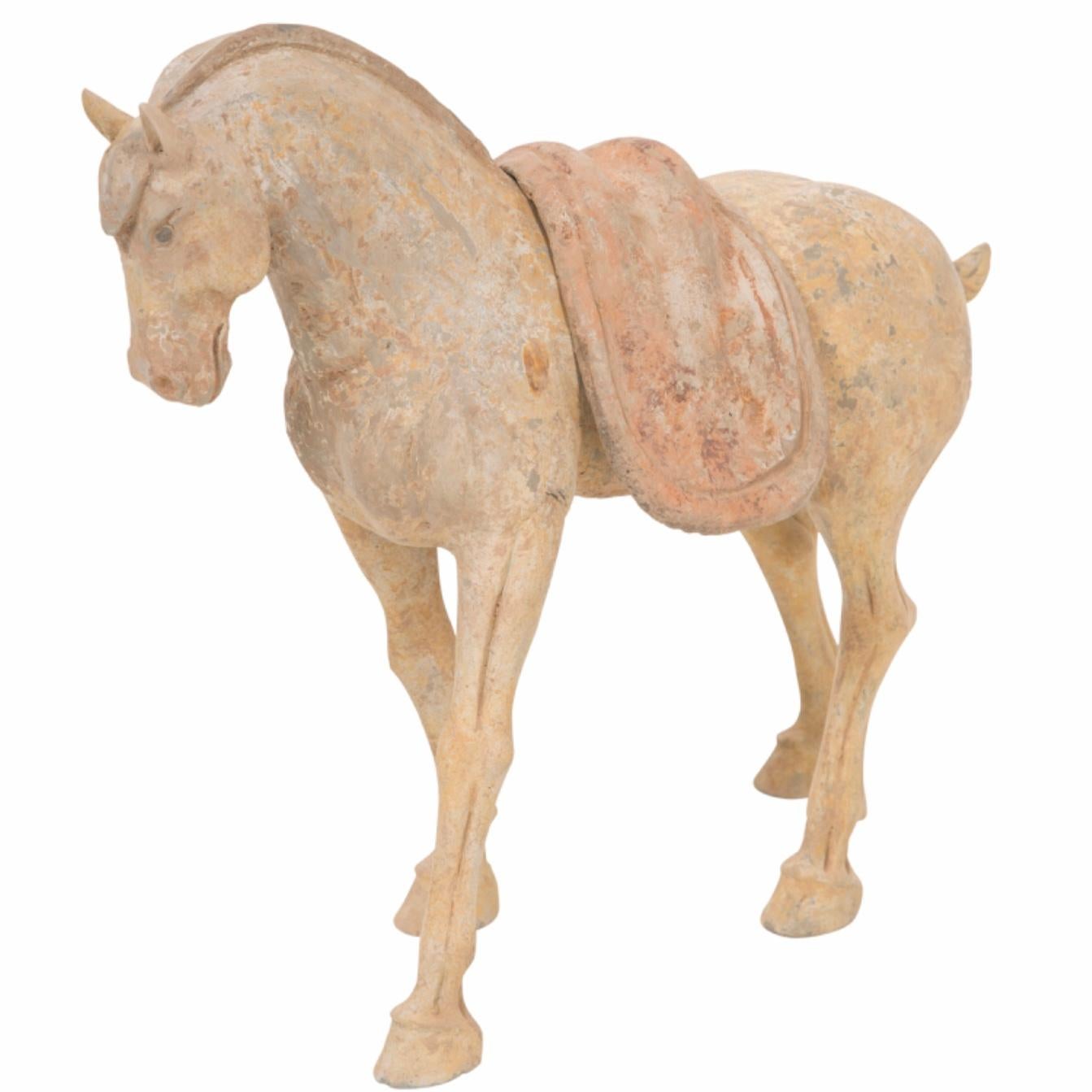 Chinese Tang Dynasty Pottery Horse With Saddle For Sale