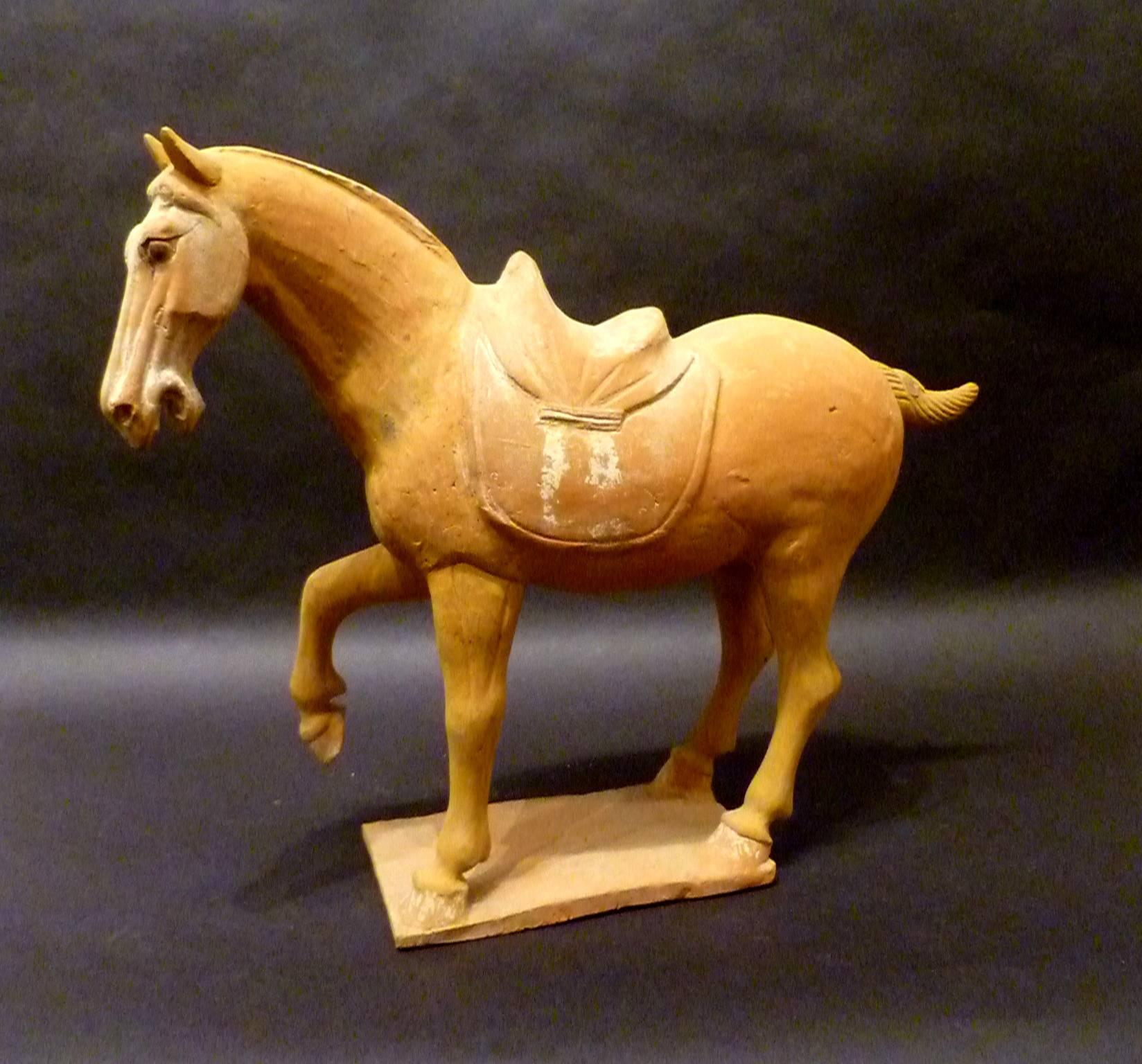 A naturalistically and lively modeled pottery statue of prancing horse, Tang dynasty 618-907, come with Oxford authentication TL test certificate.