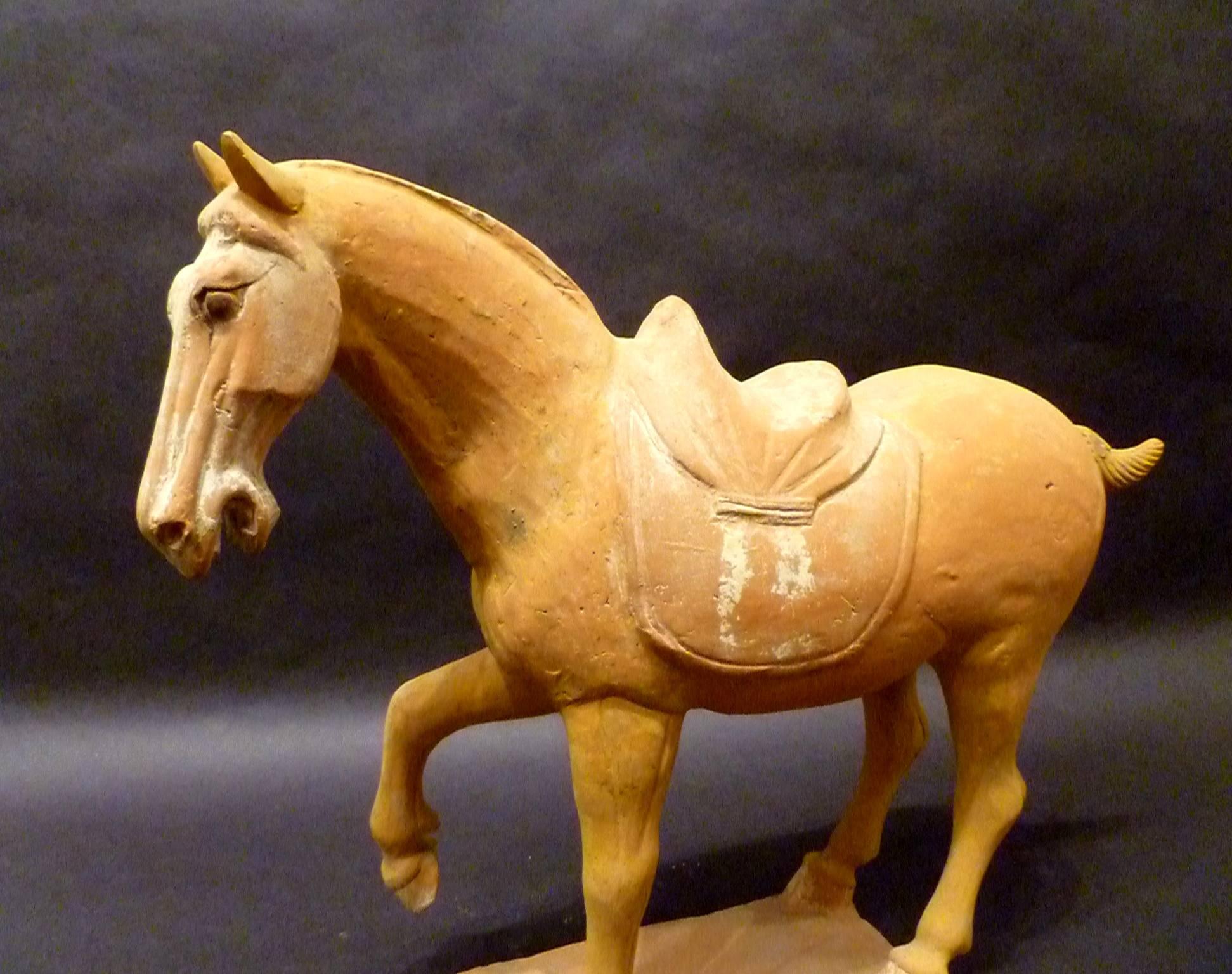 Chinese Tang Dynasty Pottery Prancing Horse with Oxford TL Test