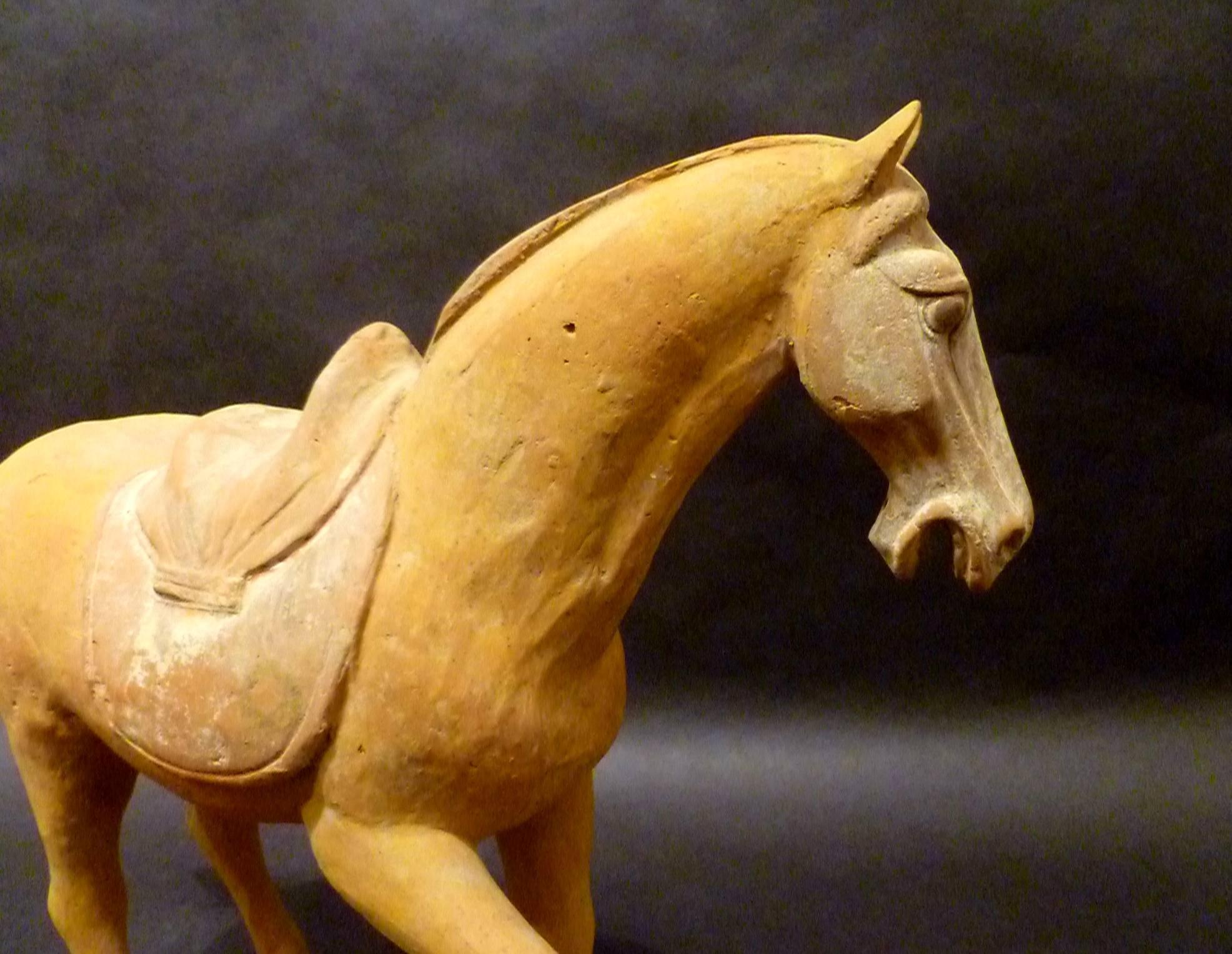 Hand-Crafted Tang Dynasty Pottery Prancing Horse with Oxford TL Test