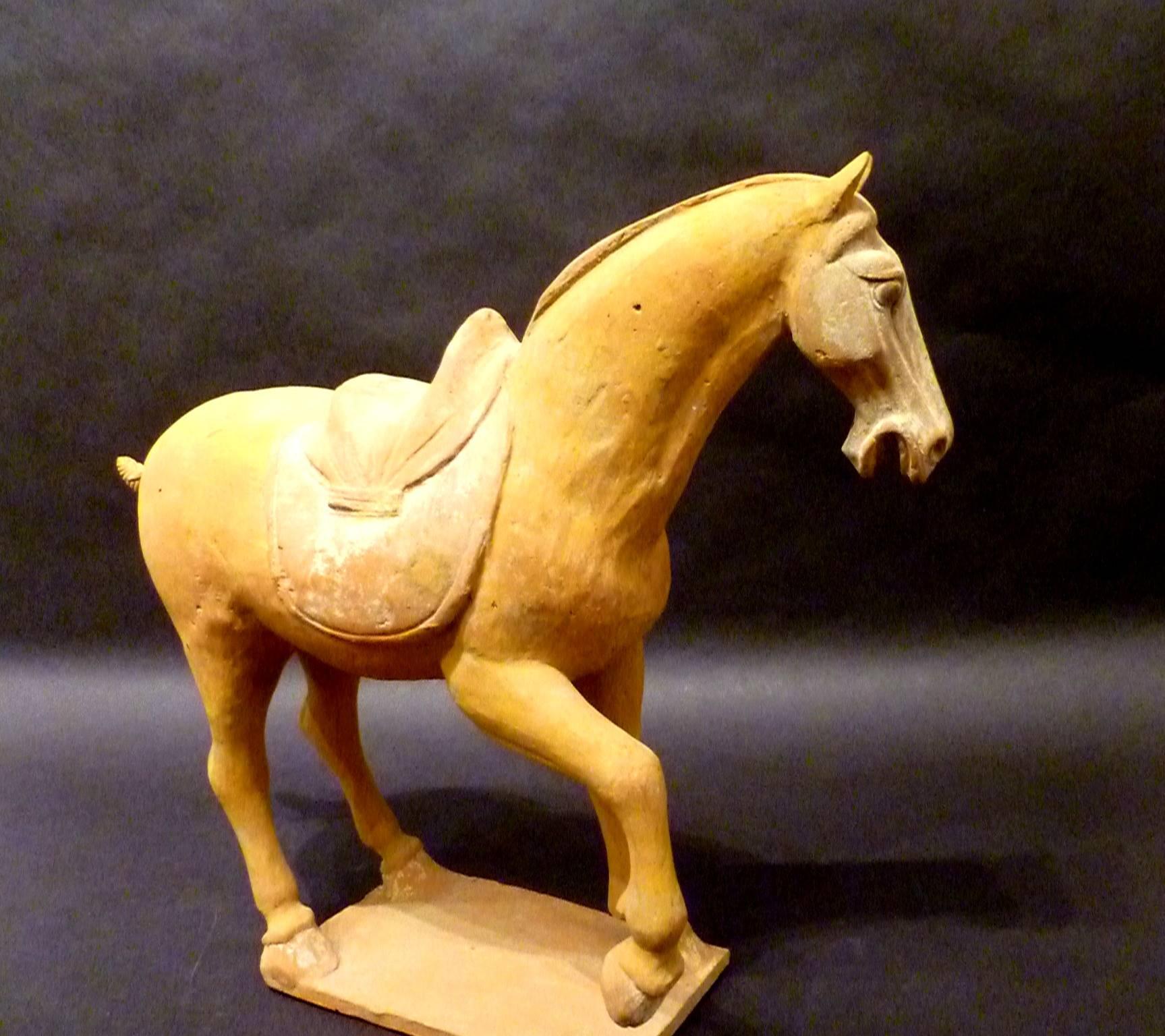 Tang Dynasty Pottery Prancing Horse with Oxford TL Test In Good Condition In Greenwich, CT