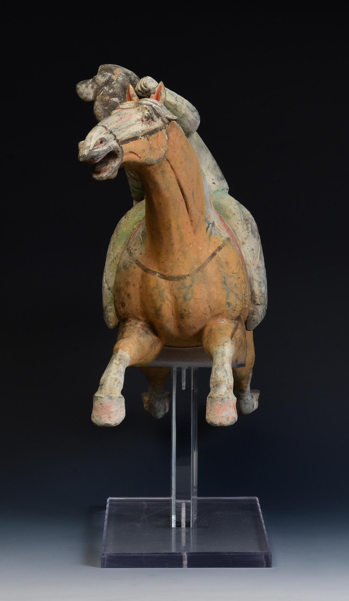 Tang Dynasty, Antique Chinese Pottery Horse and Court Lady with Oxford TL Test 5