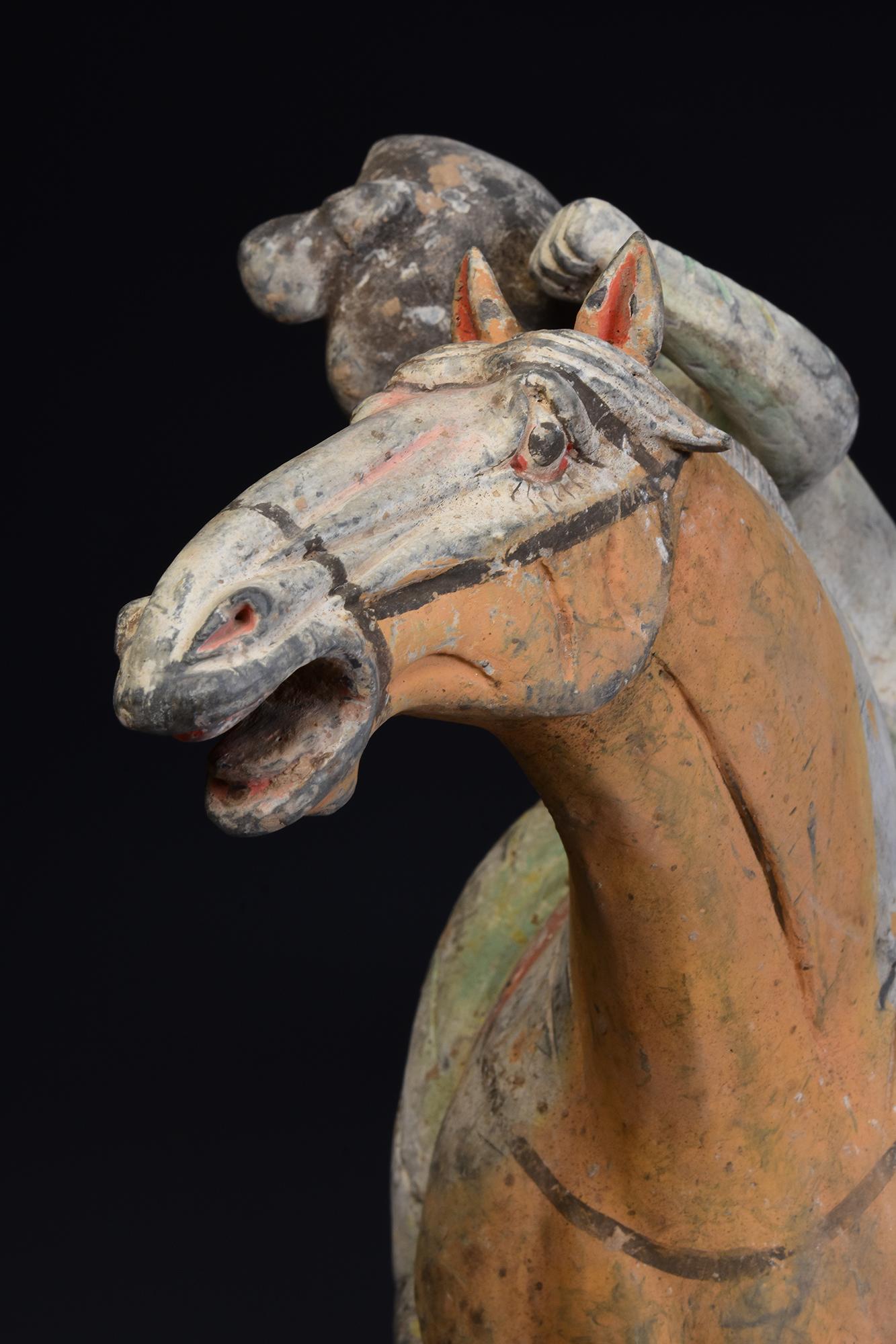 Tang Dynasty, Antique Chinese Pottery Horse and Court Lady with Oxford TL Test 6