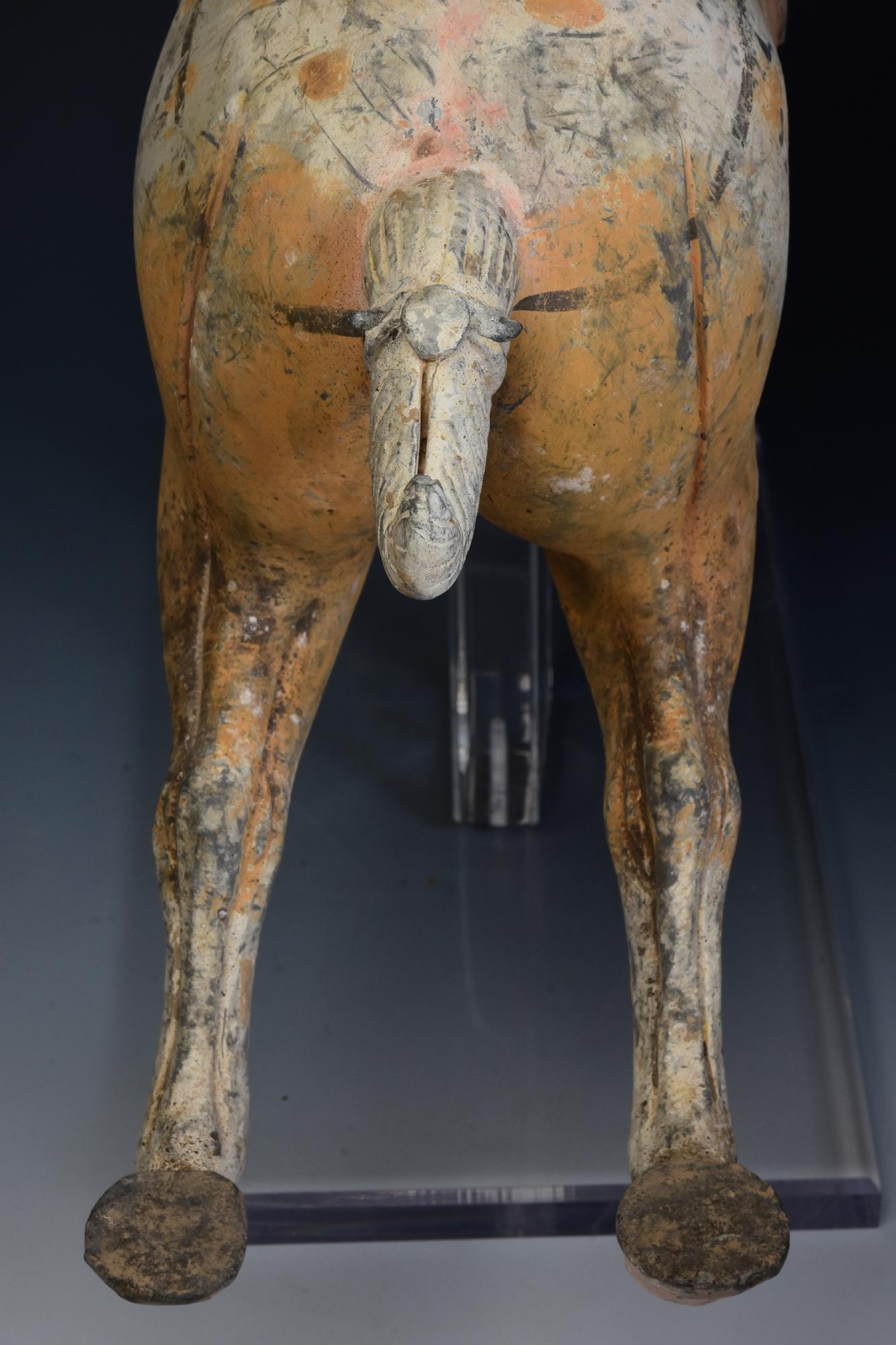 Tang Dynasty, Antique Chinese Pottery Horse and Court Lady with Oxford TL Test 14