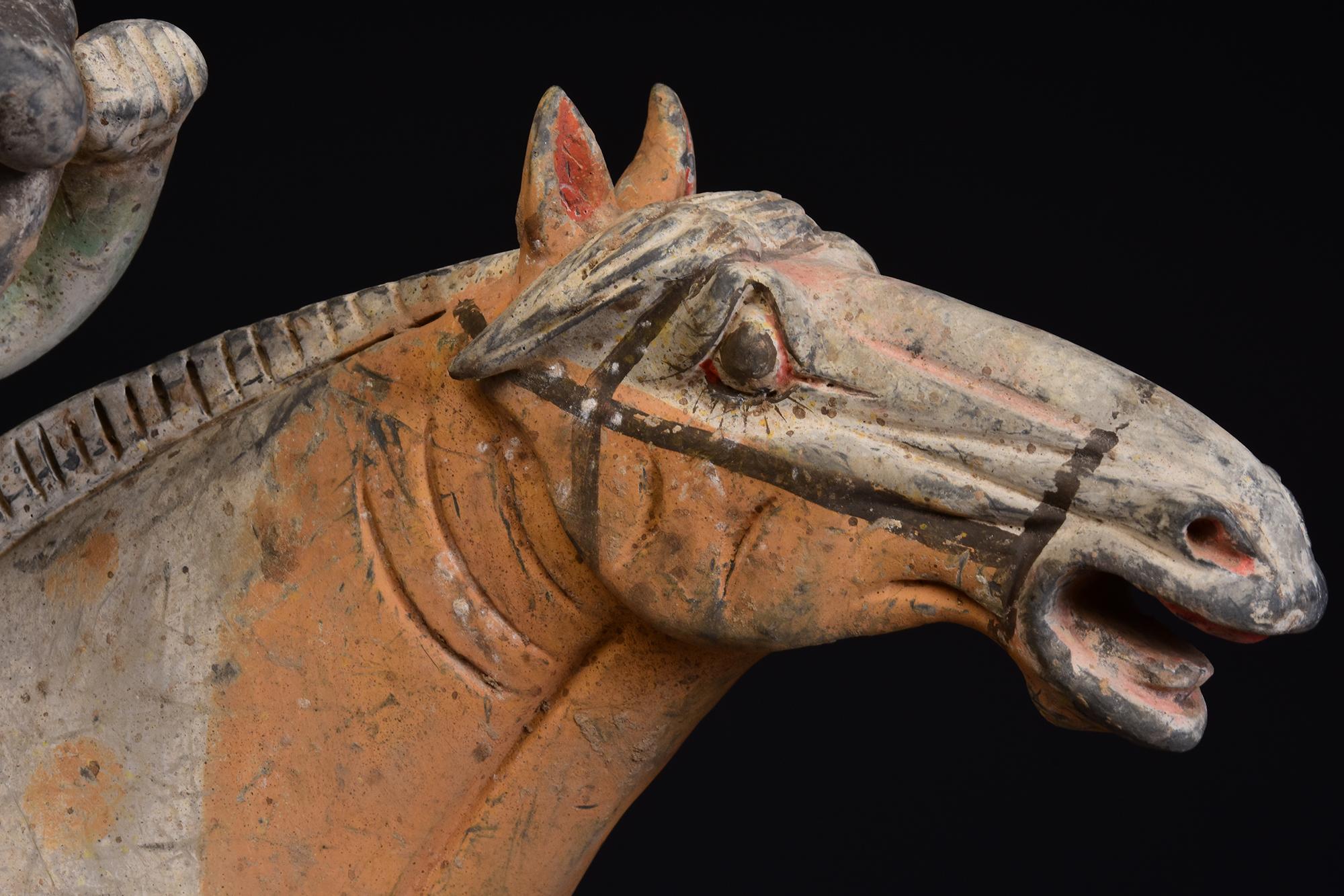 Tang Dynasty, Antique Chinese Pottery Horse and Court Lady with Oxford TL Test In Good Condition In Sampantawong, TH