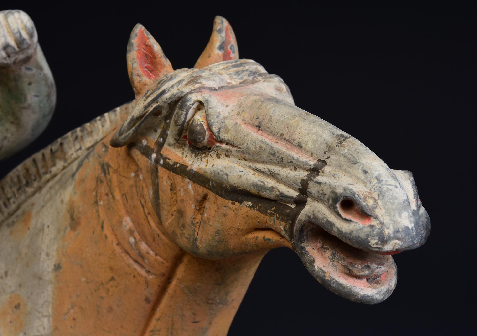 Tang Dynasty, Antique Chinese Pottery Horse and Court Lady with Oxford TL Test 3