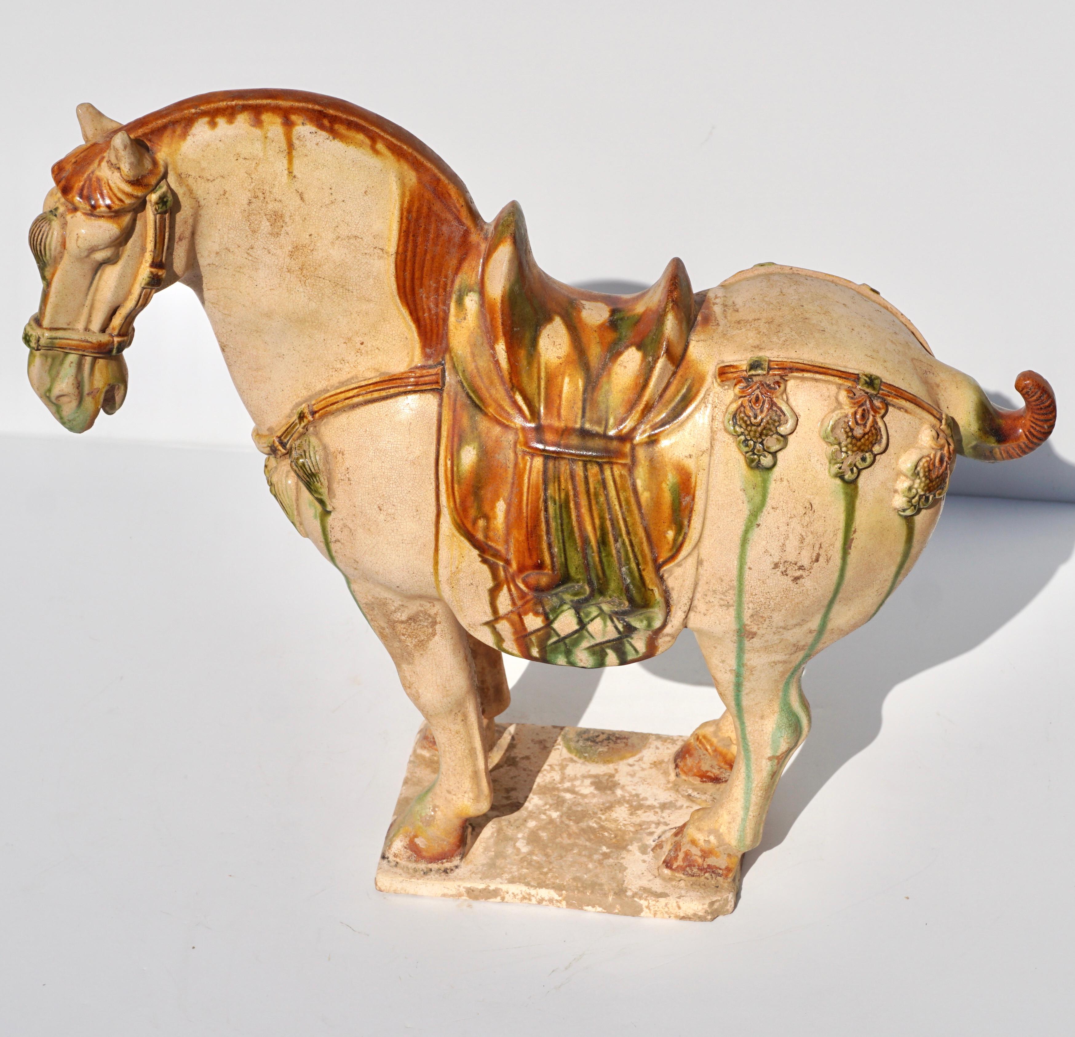 Tang Dynasty Sancai glasierte Keramik Pferd im Angebot 2