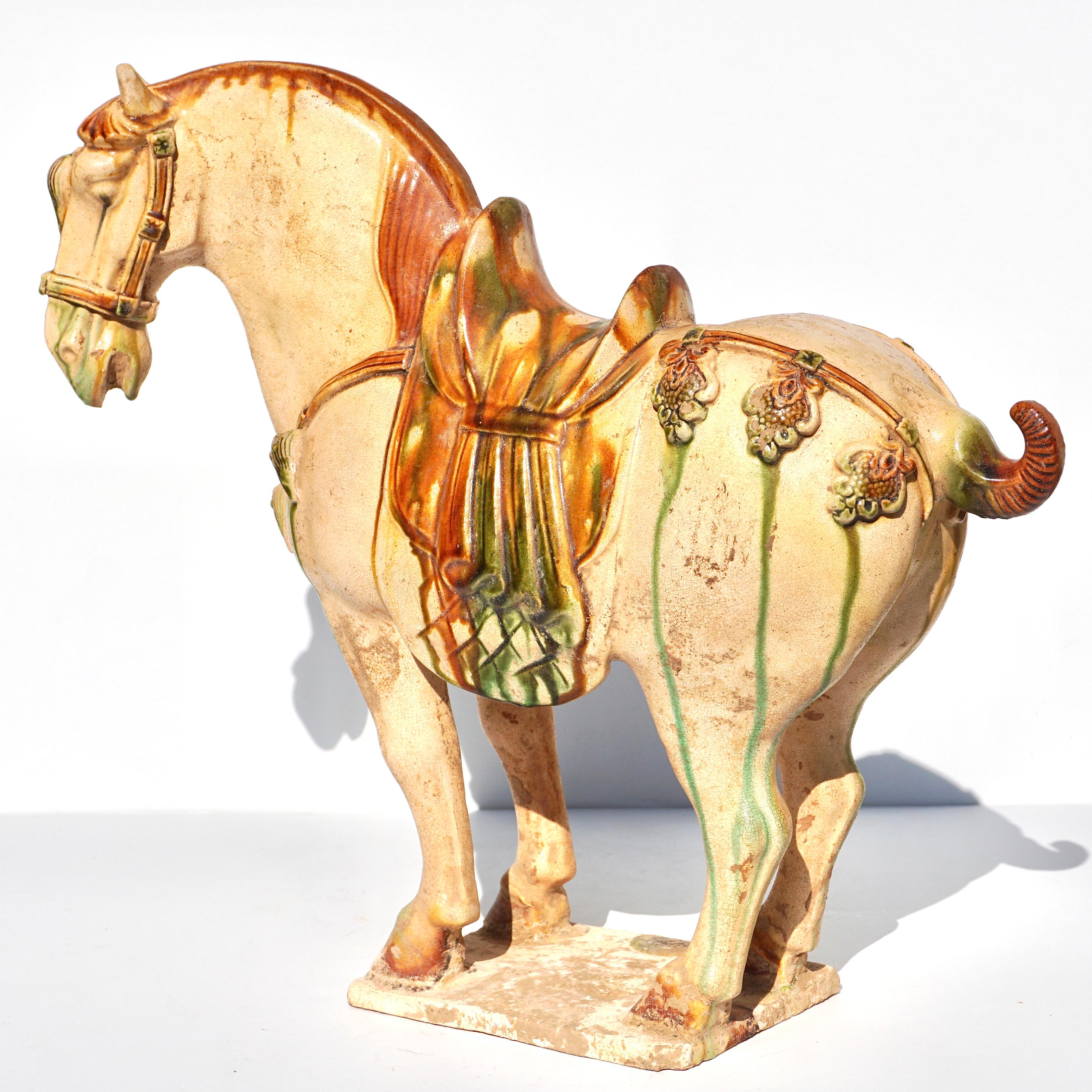 Tang Dynasty Sancai glasierte Keramik Pferd (Chinesisch) im Angebot