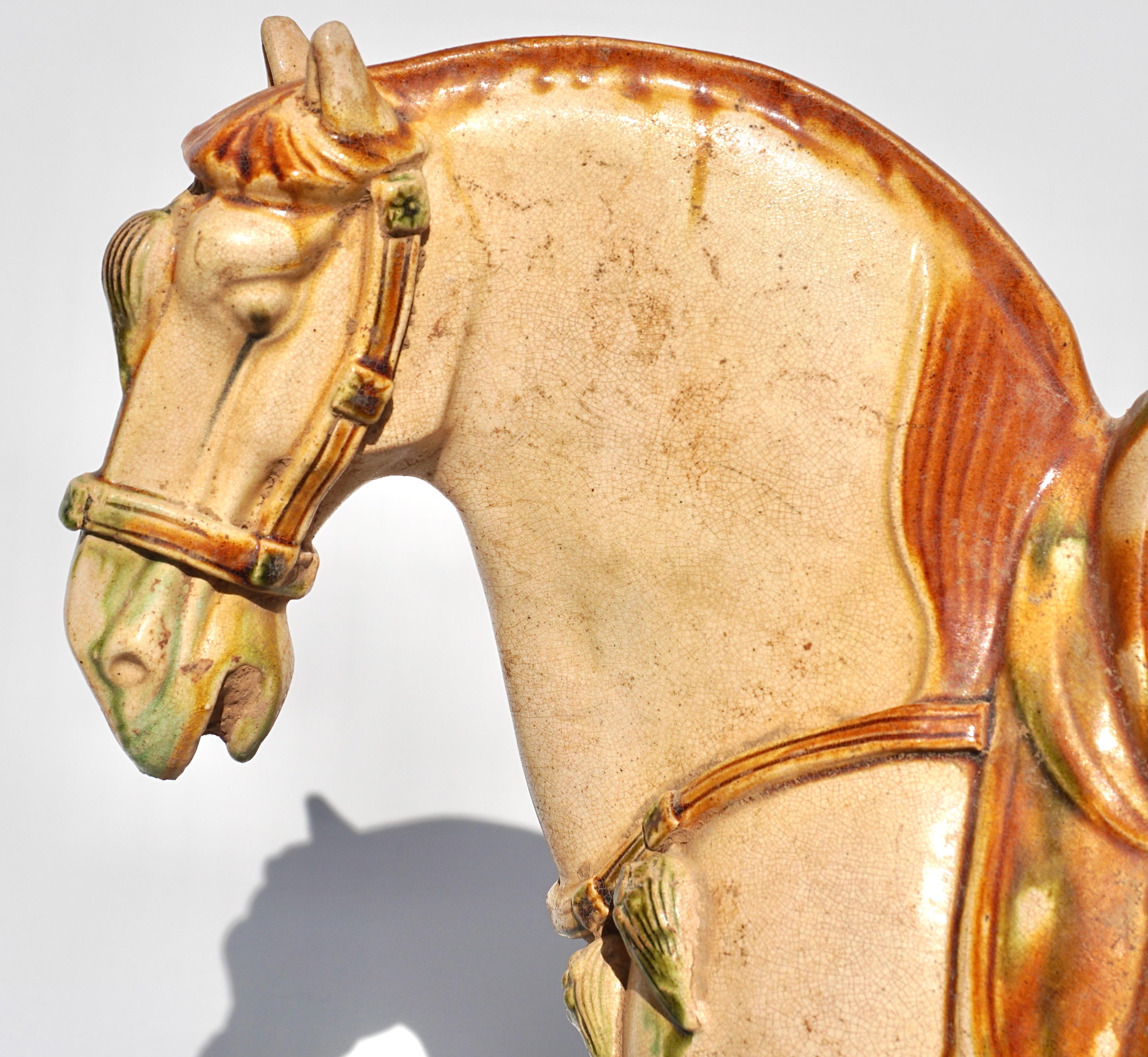 Chinese Tang Dynasty Sancai Glazed Pottery Horse TL Tested For Sale
