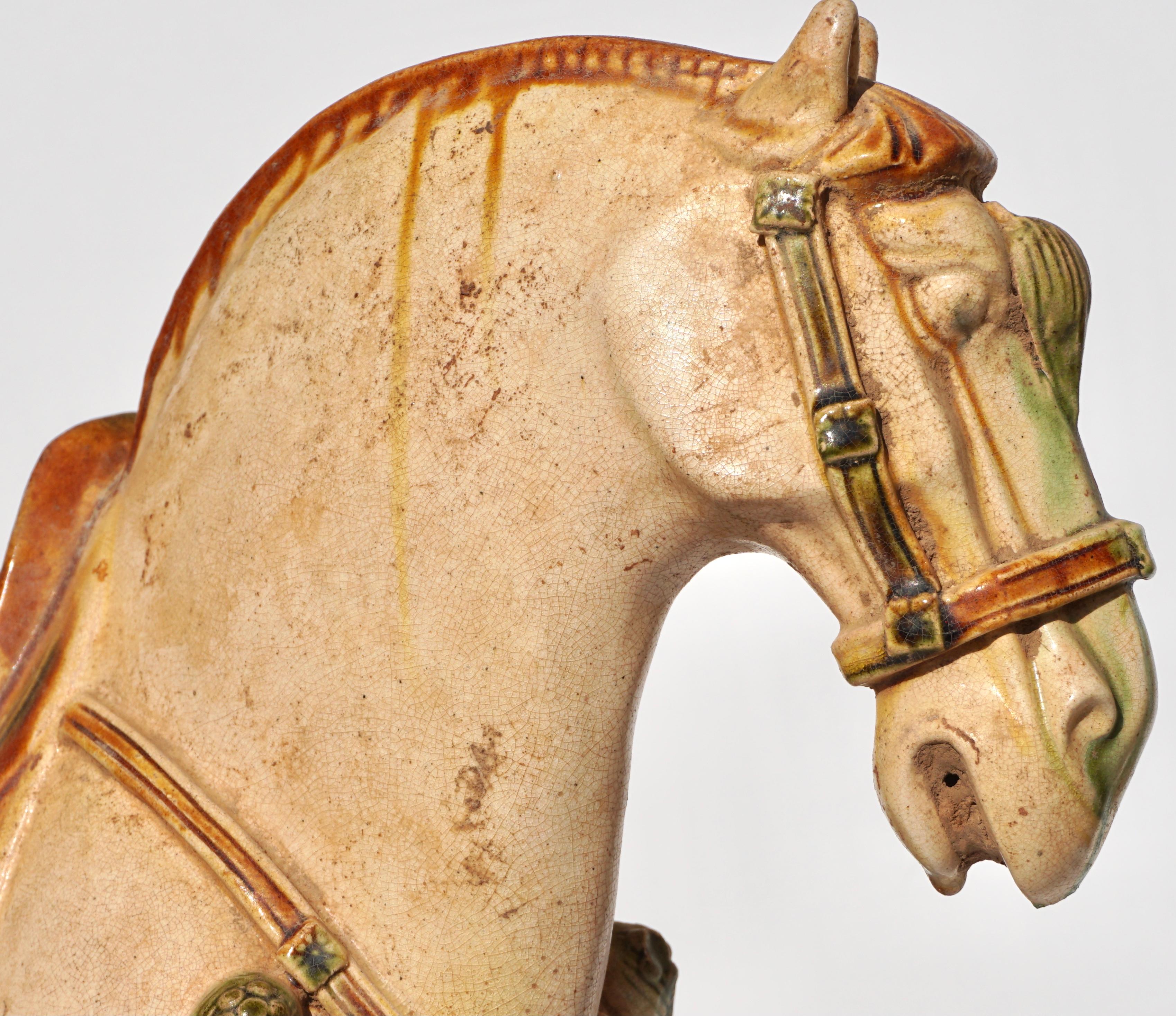 Tang Dynasty Sancai glasierte Keramik Pferd im Angebot 1