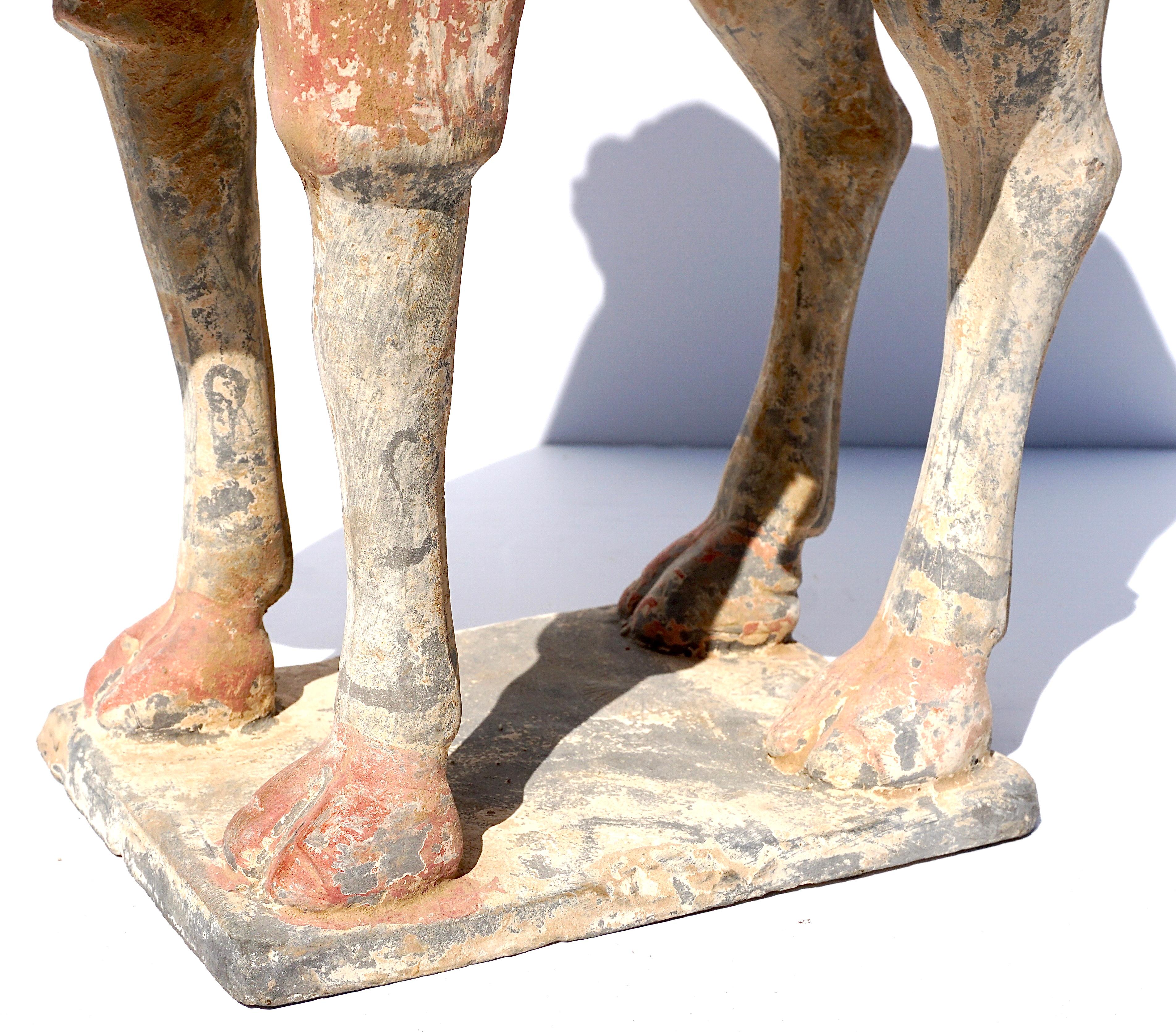 Tang Dynasty Terracotta Bactrian Camel Figure 2