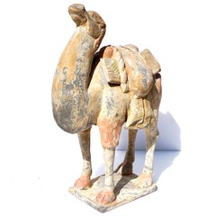 Tang Dynasty Terracotta Bactrian Camel Figure