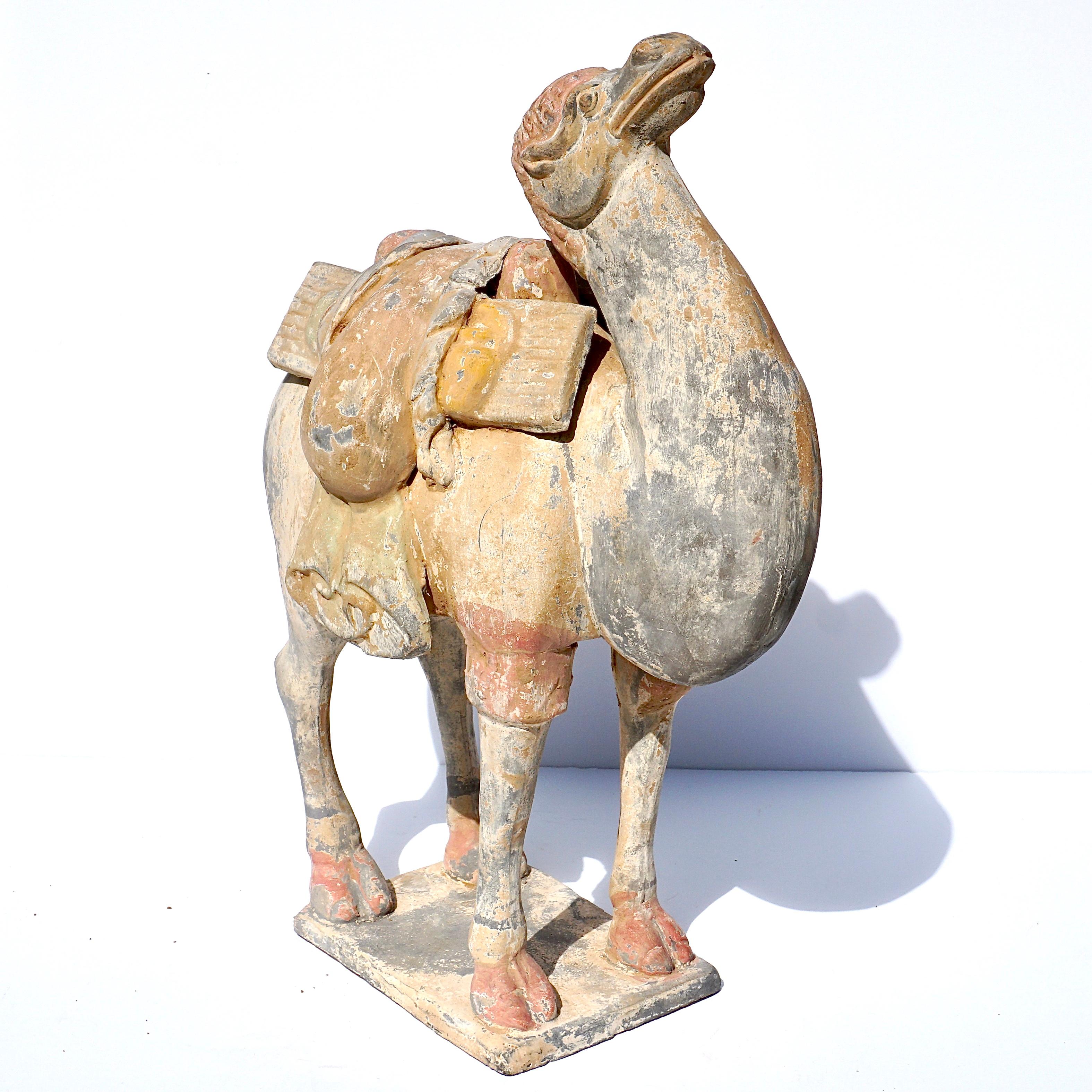 terracotta camel