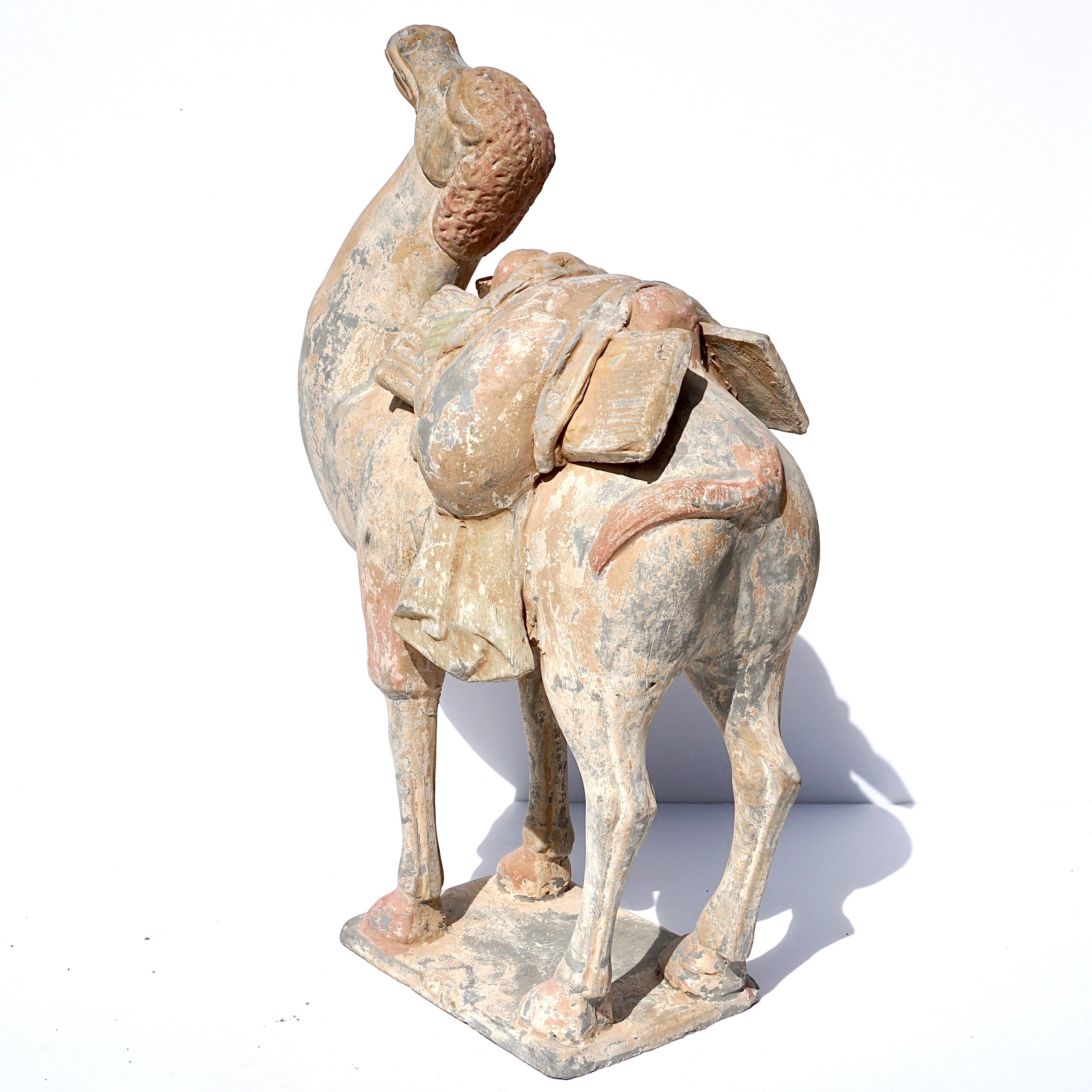 Hand-Crafted Tang Dynasty Terracotta Bactrian Camel Figure
