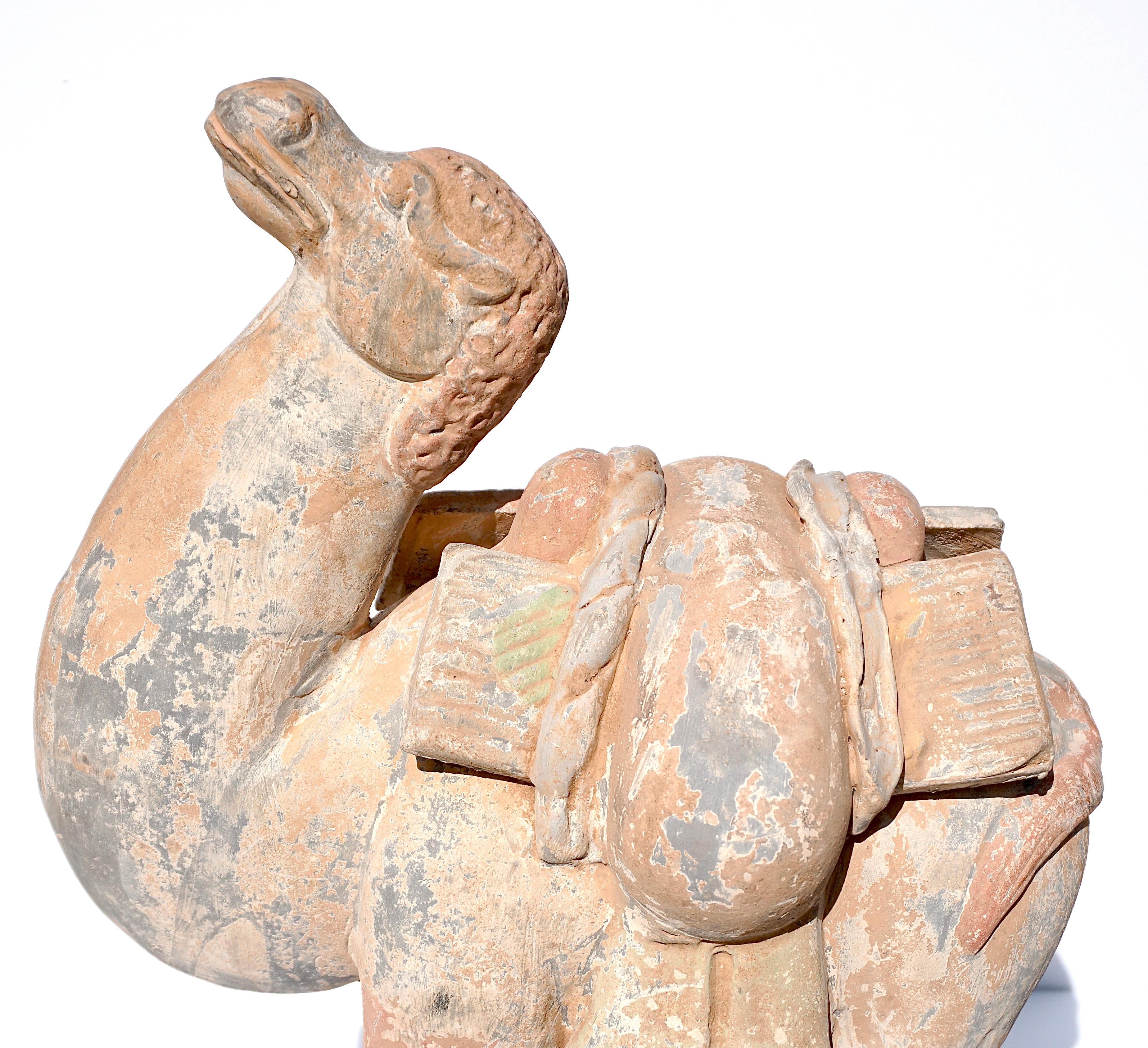 18th Century and Earlier Tang Dynasty Terracotta Bactrian Camel Figure