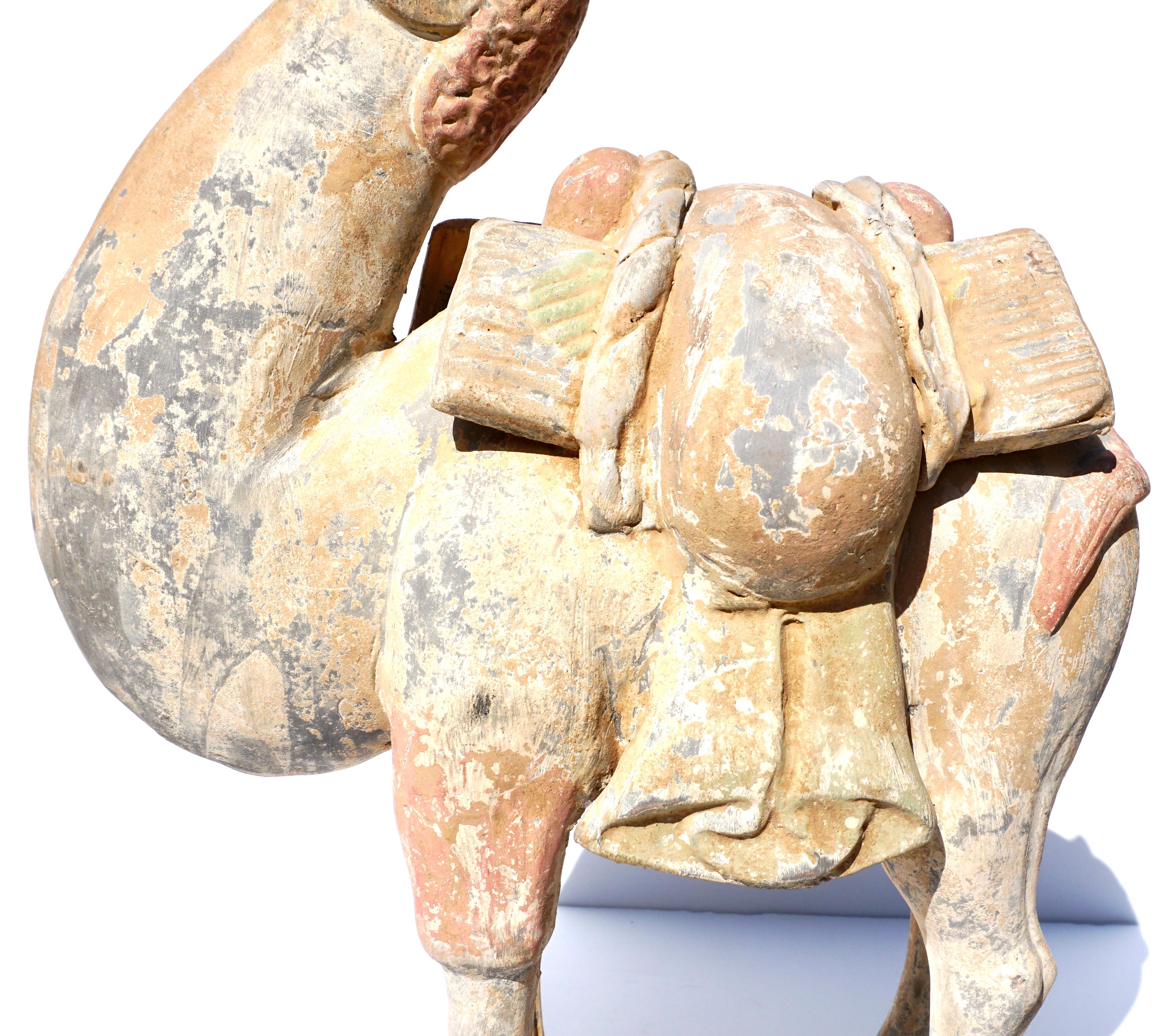 Tang Dynasty Terracotta Bactrian Camel Figure 1